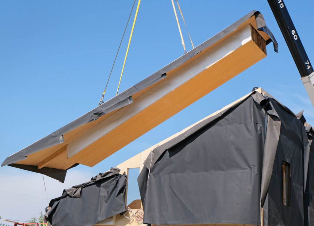 Cardinal House Element5