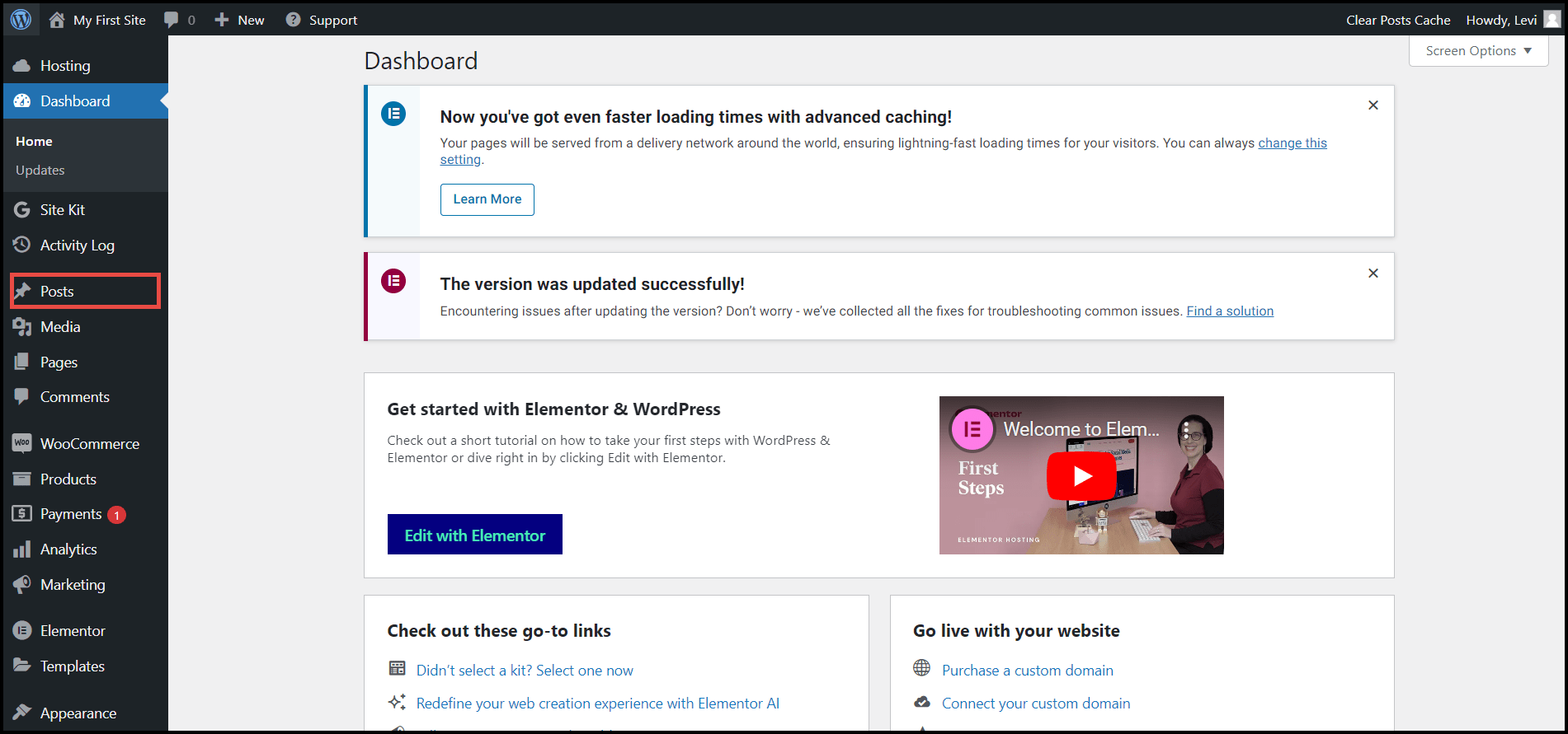 Customize Your Website Kit » Elementor