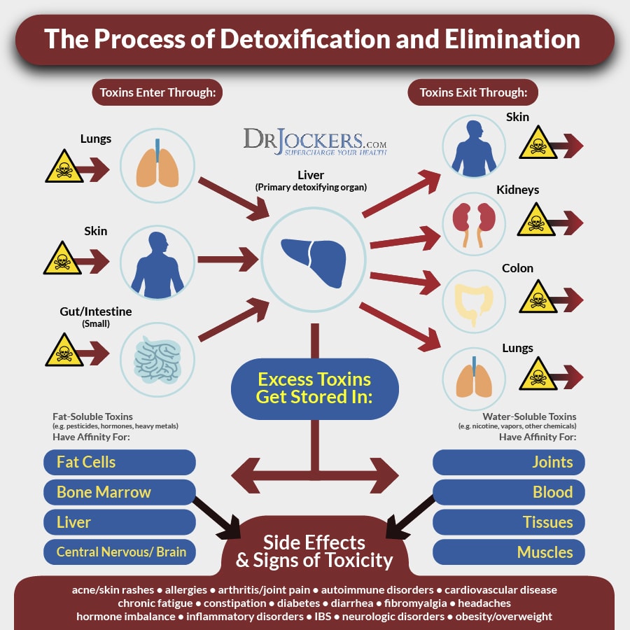 Heavy Metal Detoxification Elements4Life