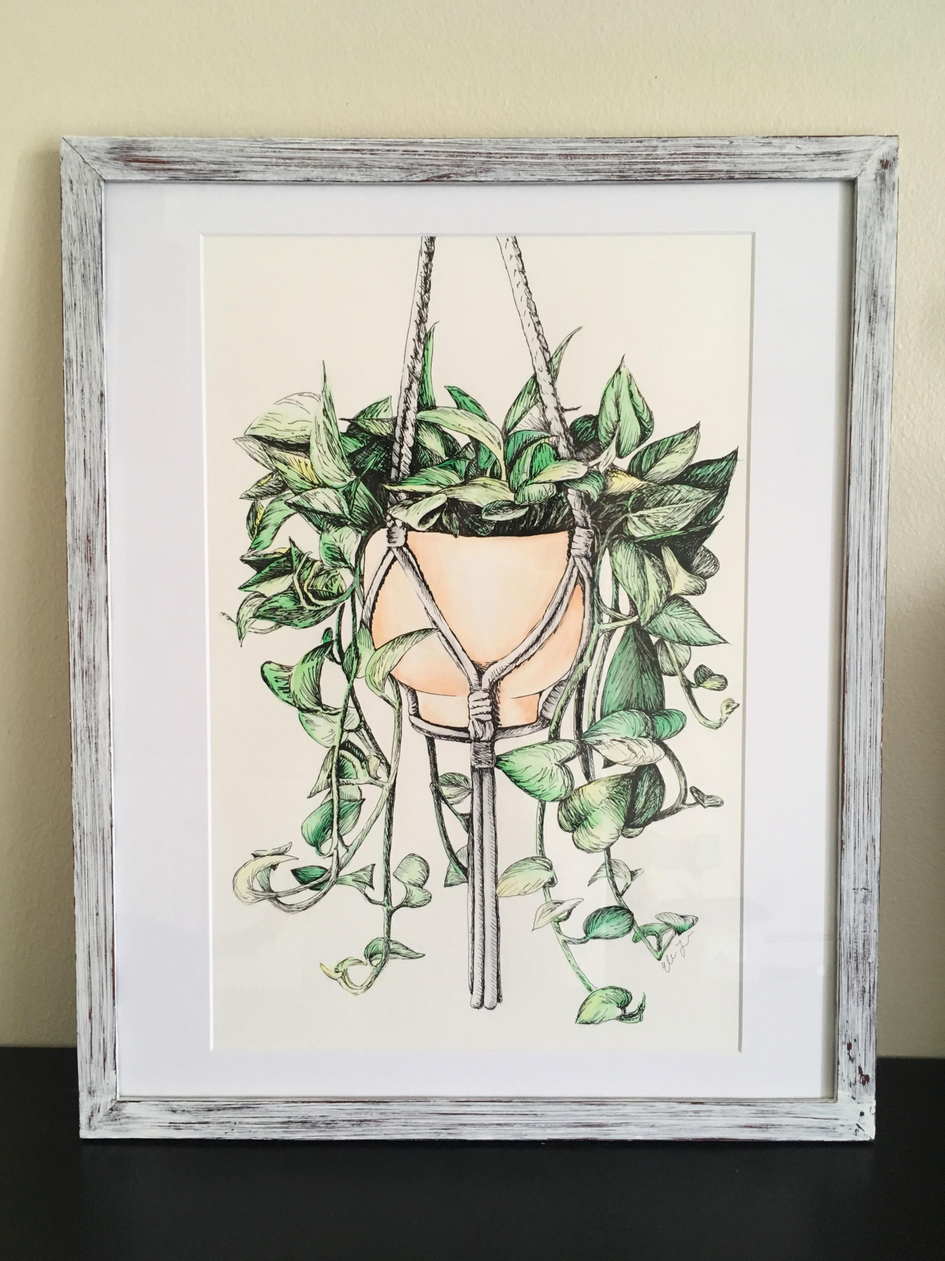 Pothos Water Color & Ink Hanging Plant Floral Illustration Drawing (FRAMED ORIGINAL)