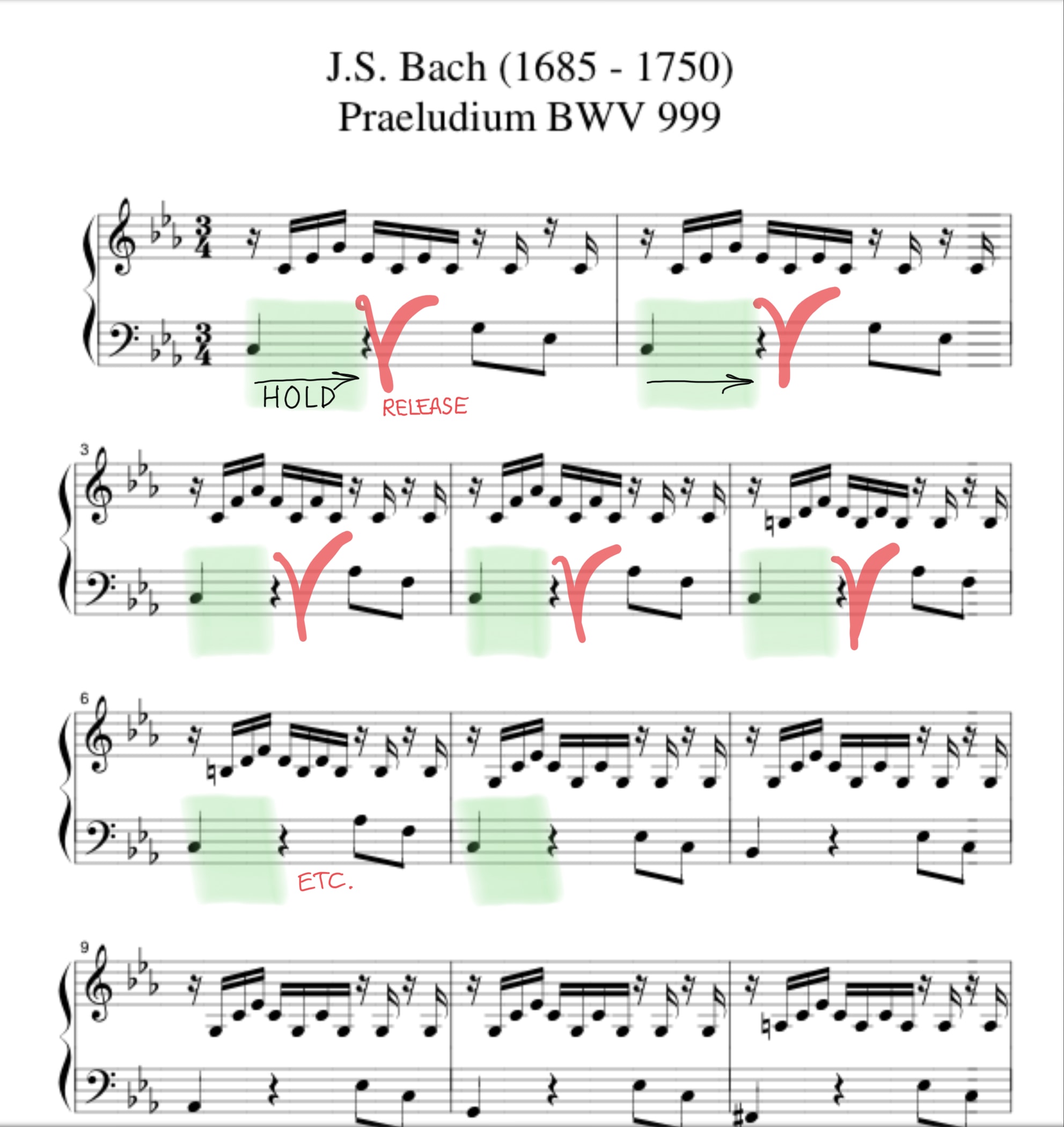Minding your Ps and Qs (Pauses and Quarters) Eleonor Bindman