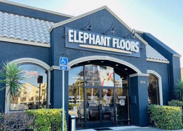 How to Remove Glue from Subfloor StepbyStep Guide Elephant Floors