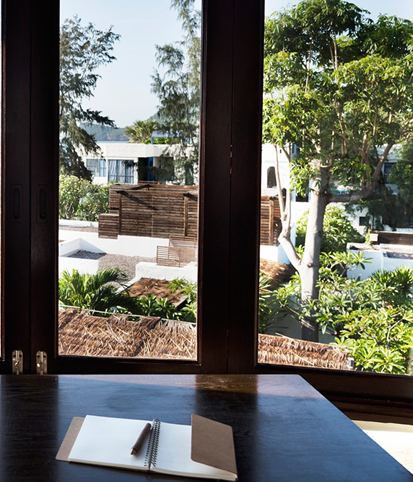 Viveros en monterrey, Venta de arboles en monterrey, Pasto en rollo