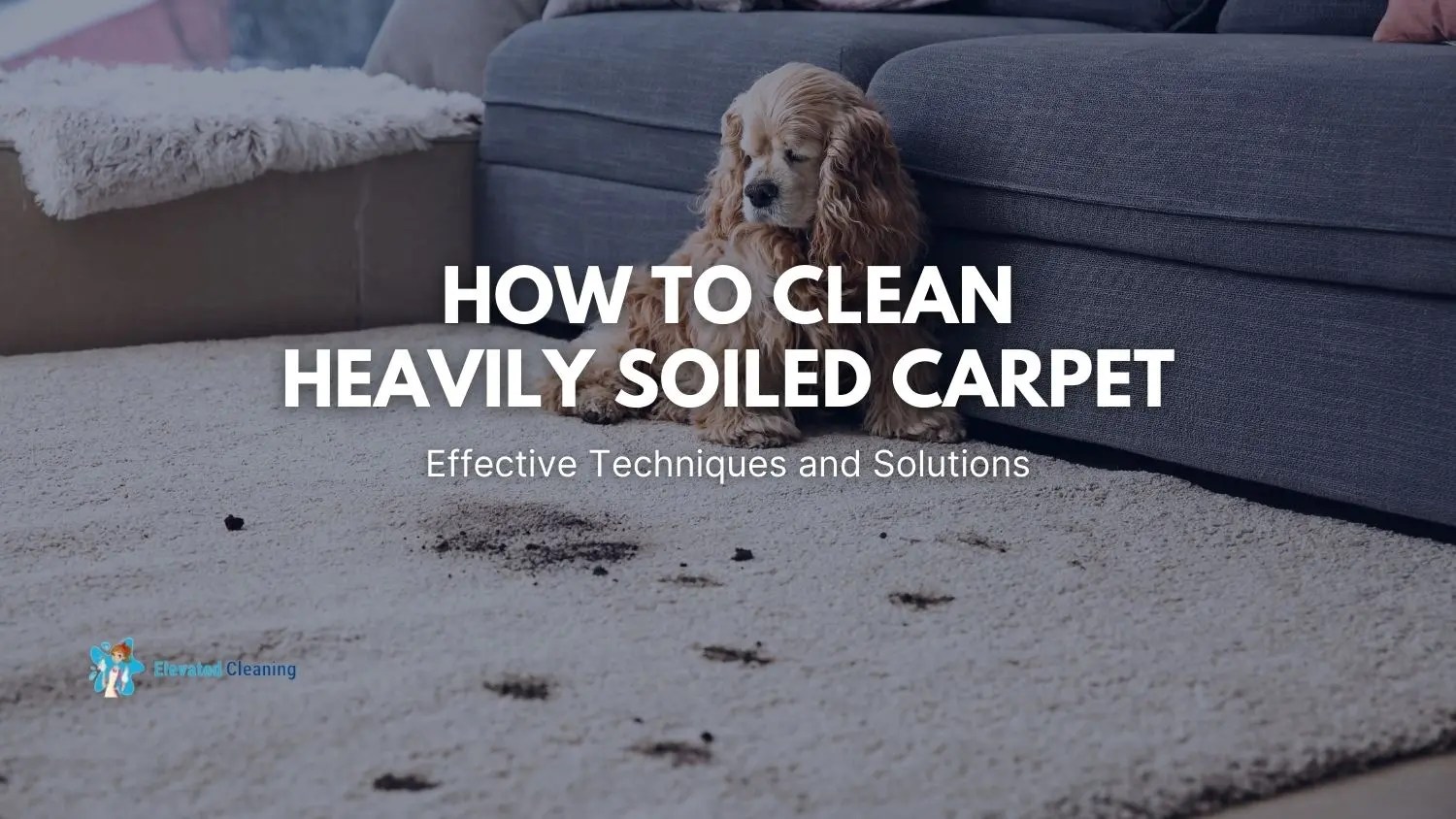 How To Clean Heavily Soiled Carpet Effective Techniques And Solutions