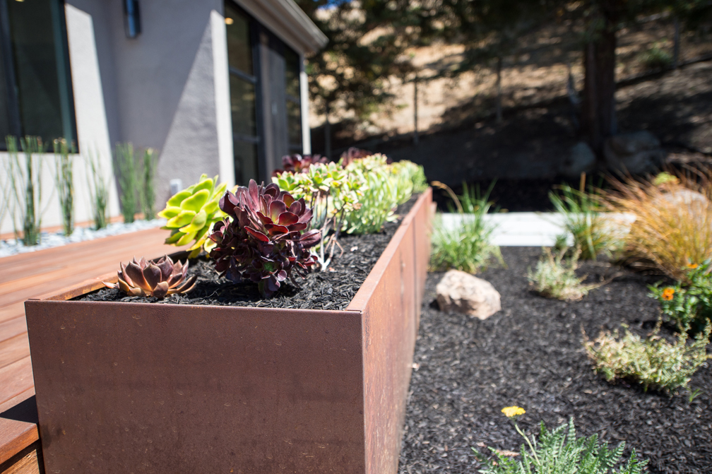 Elevate Design Build Irvine Landscape