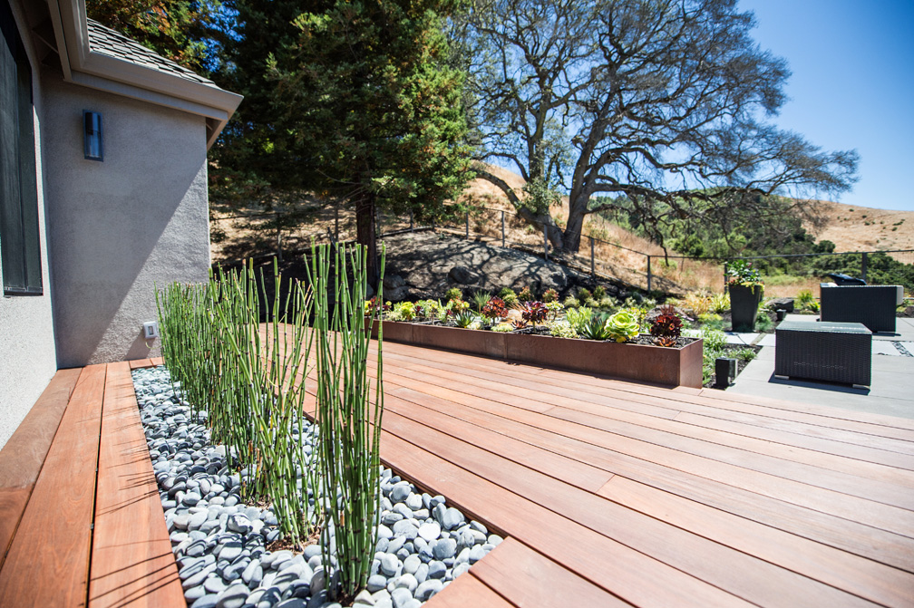 Elevate Design Build Irvine Landscape