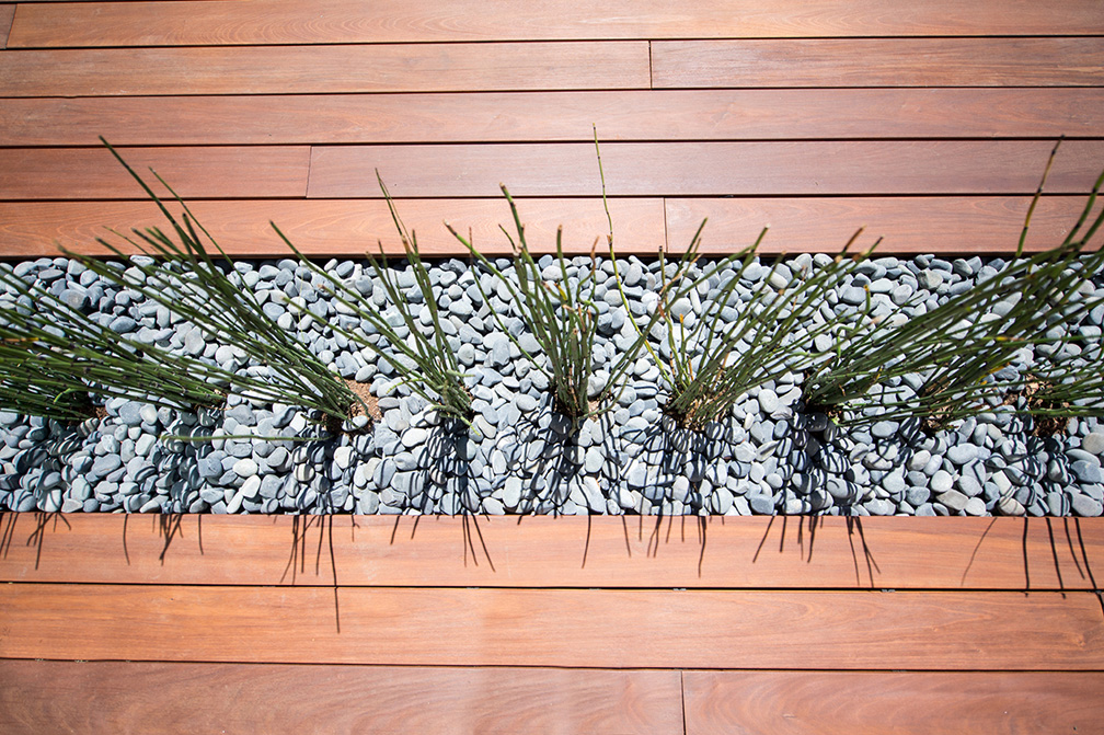 Elevate Design Build Irvine Landscape