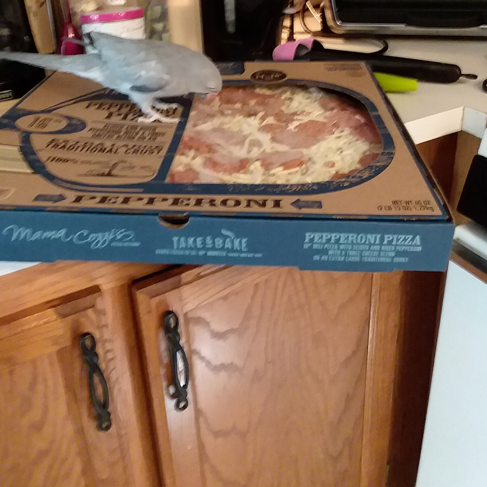 Entry_99 Elevations By Standard Kitchens