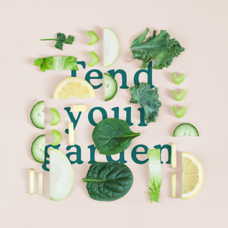 A Fresh Marketing Campaign for Garden of Life Canada ELEVATOR NEXT