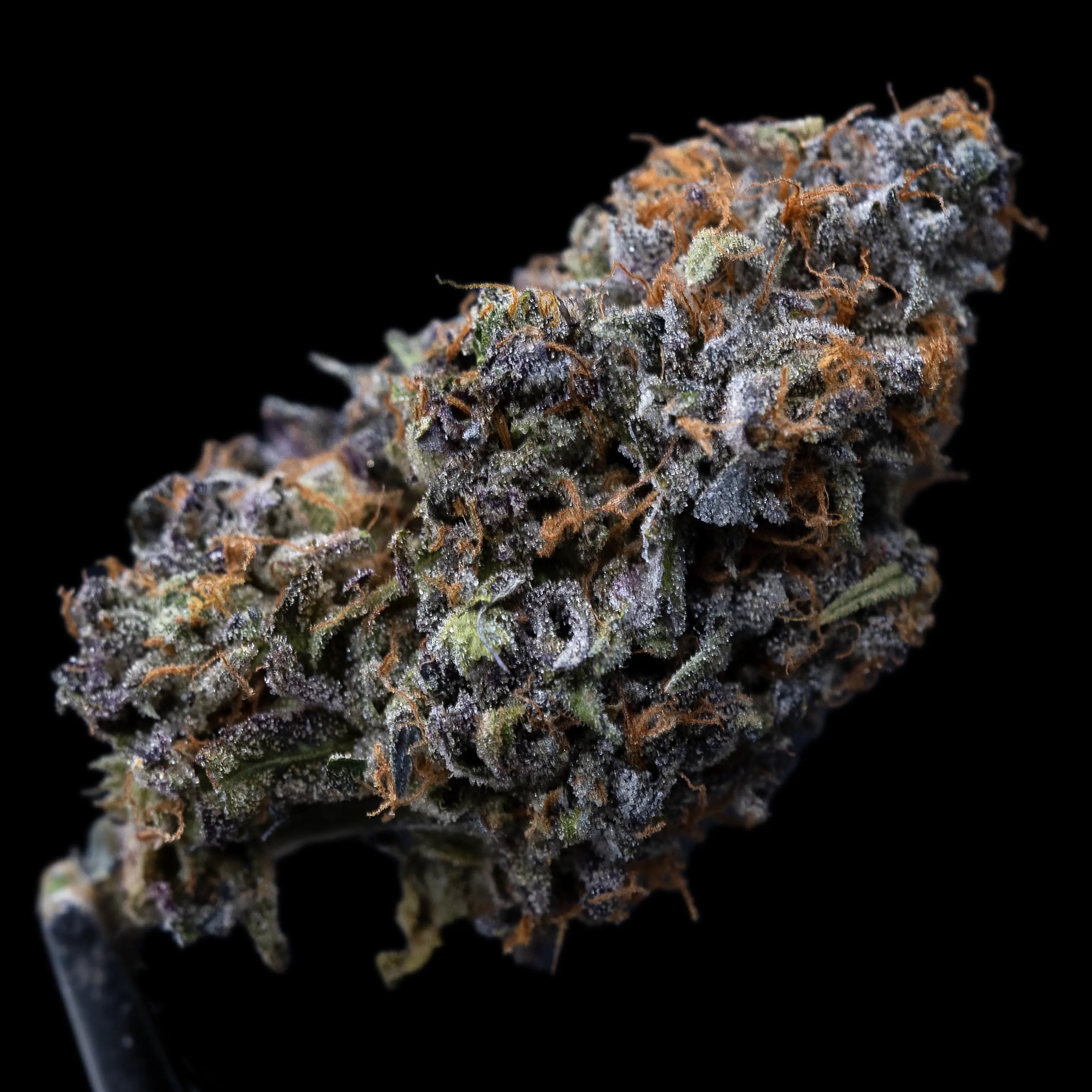 Gush Mints Upstate Elevator Operators