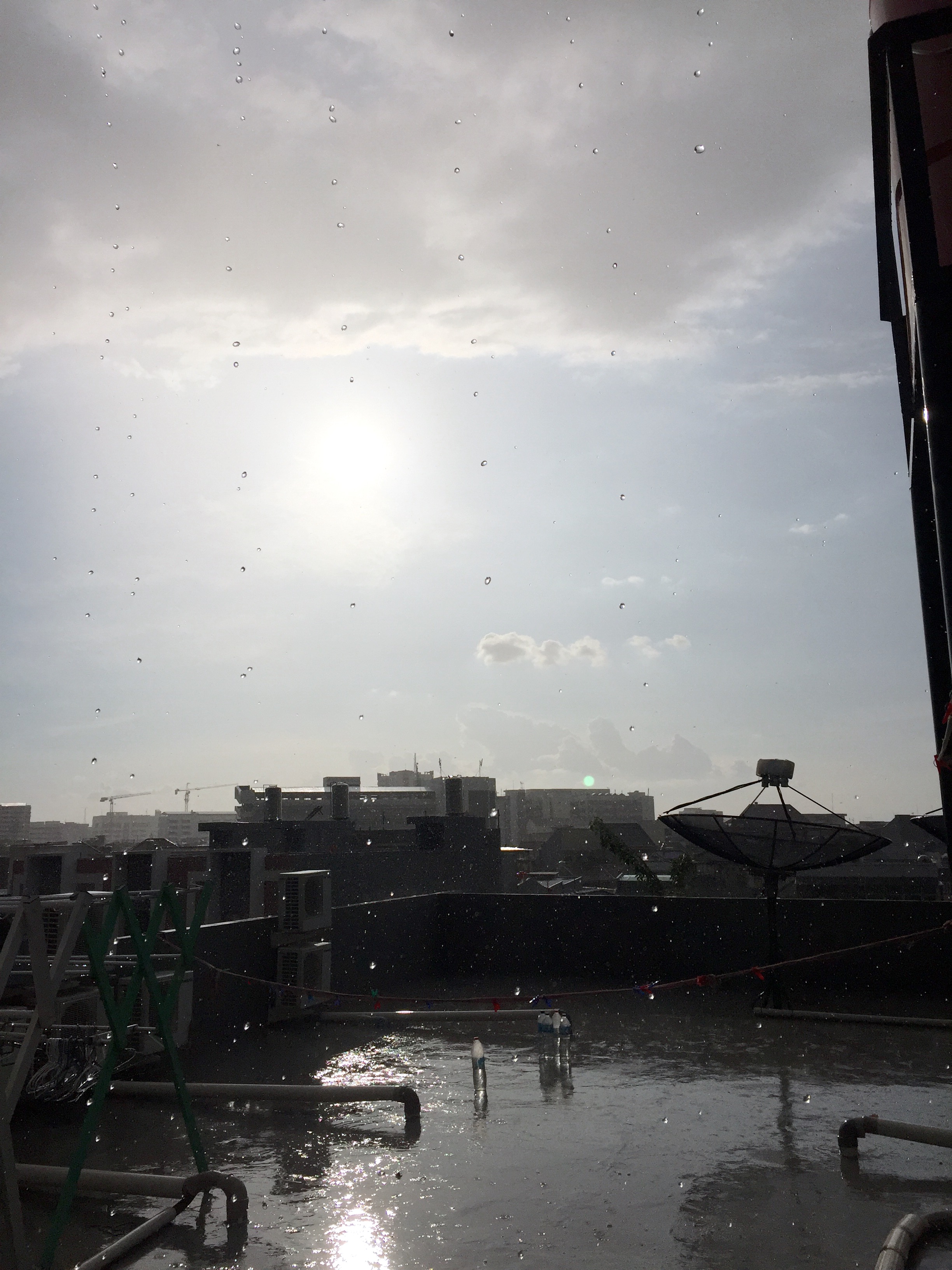 Definition sun shower Eleven Hours