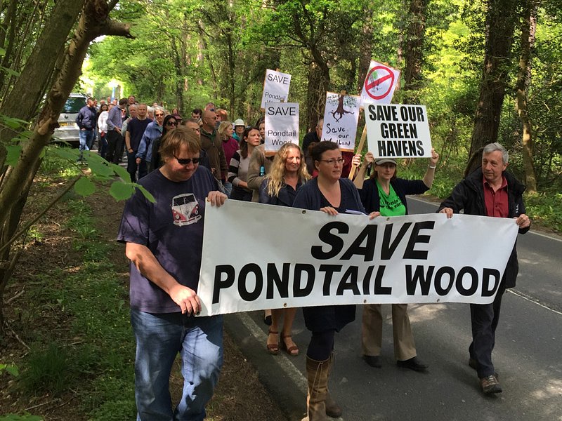 Pondtail Wood Environmental Law Foundation