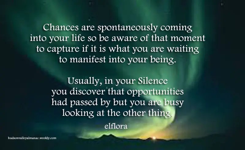 Chances Are Coming » El Flora