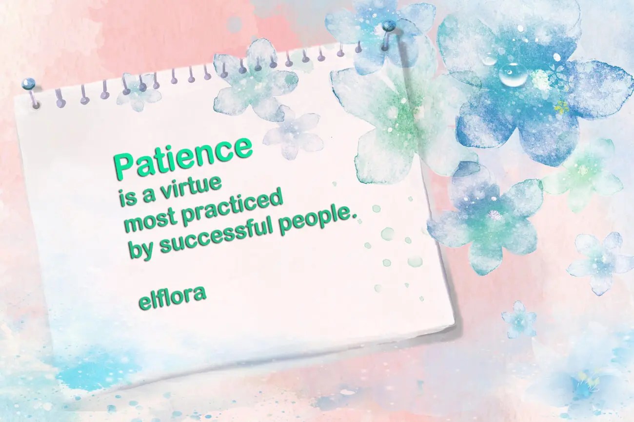 Patience El Flora El Flora