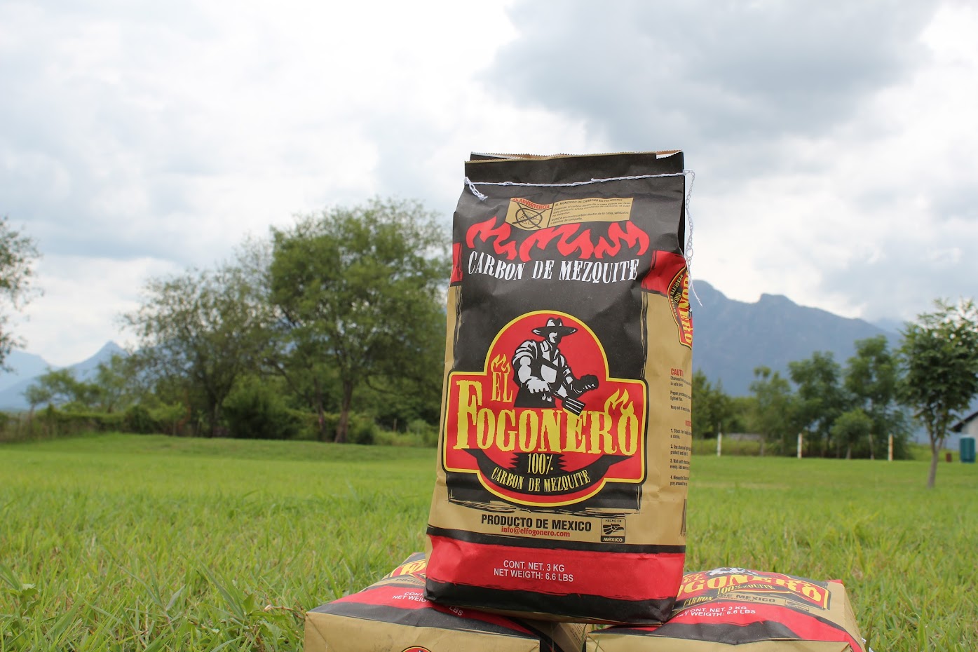 Why Mesquite Charcoal is Better Fogonero
