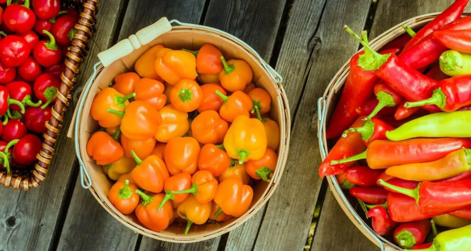 Guía de Picante para Chiles y Pimientos El Holandés Picante