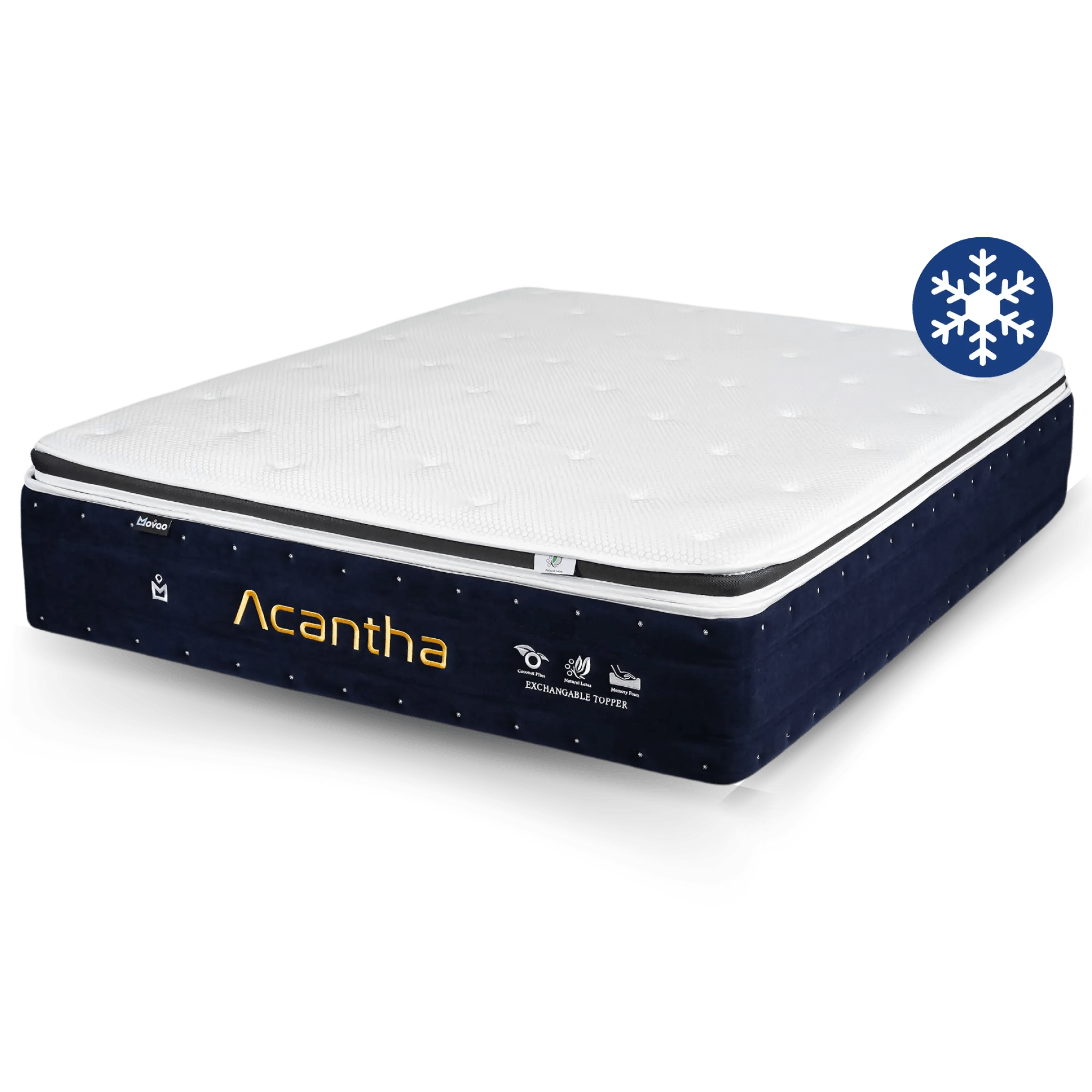 ACANTHA 13" Exchangeable Topper Mattress Lian Star Furniture & Bedding