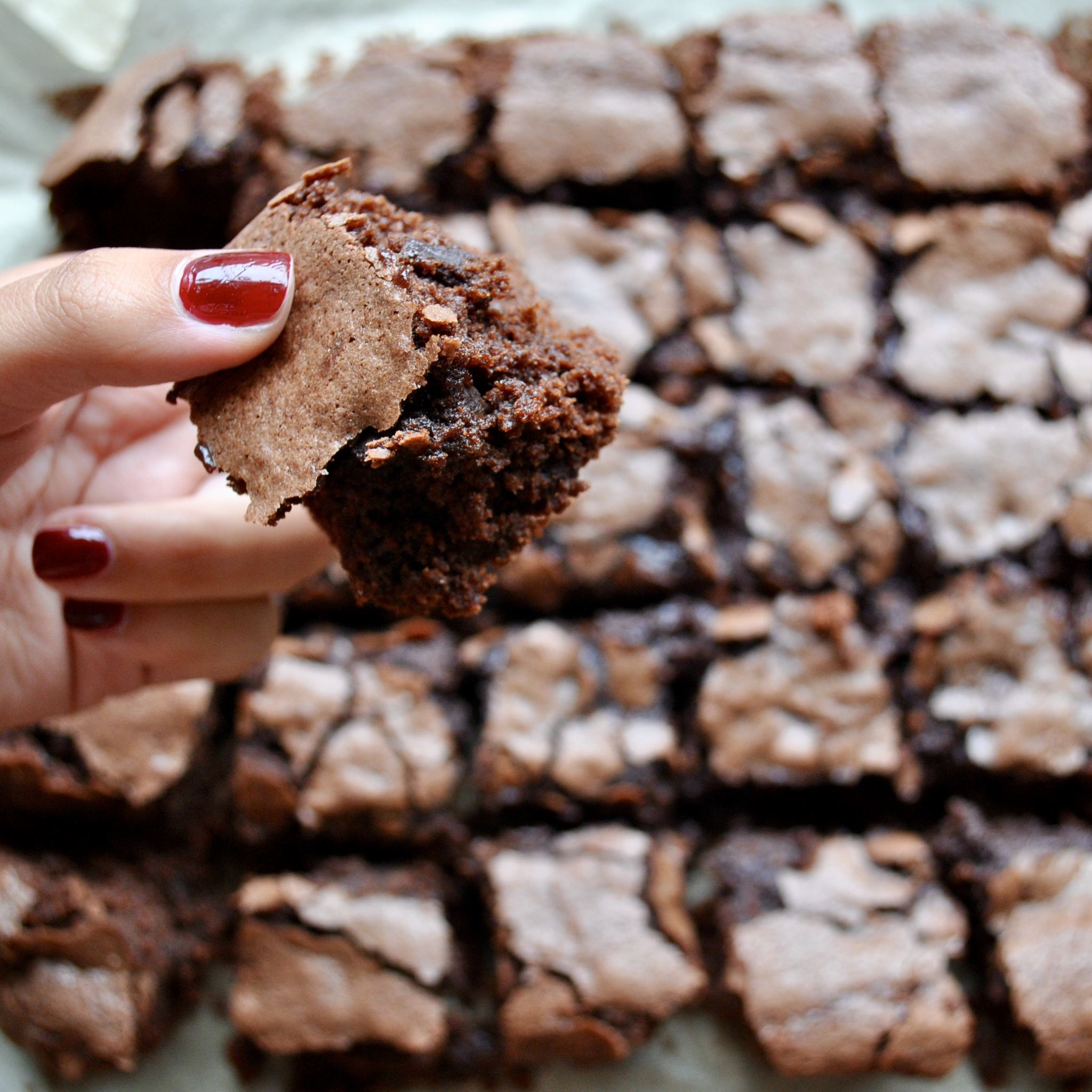 Gooey Nutella Brownies (Glutenfree, Dairyfree) Eli Brecher Nutrition