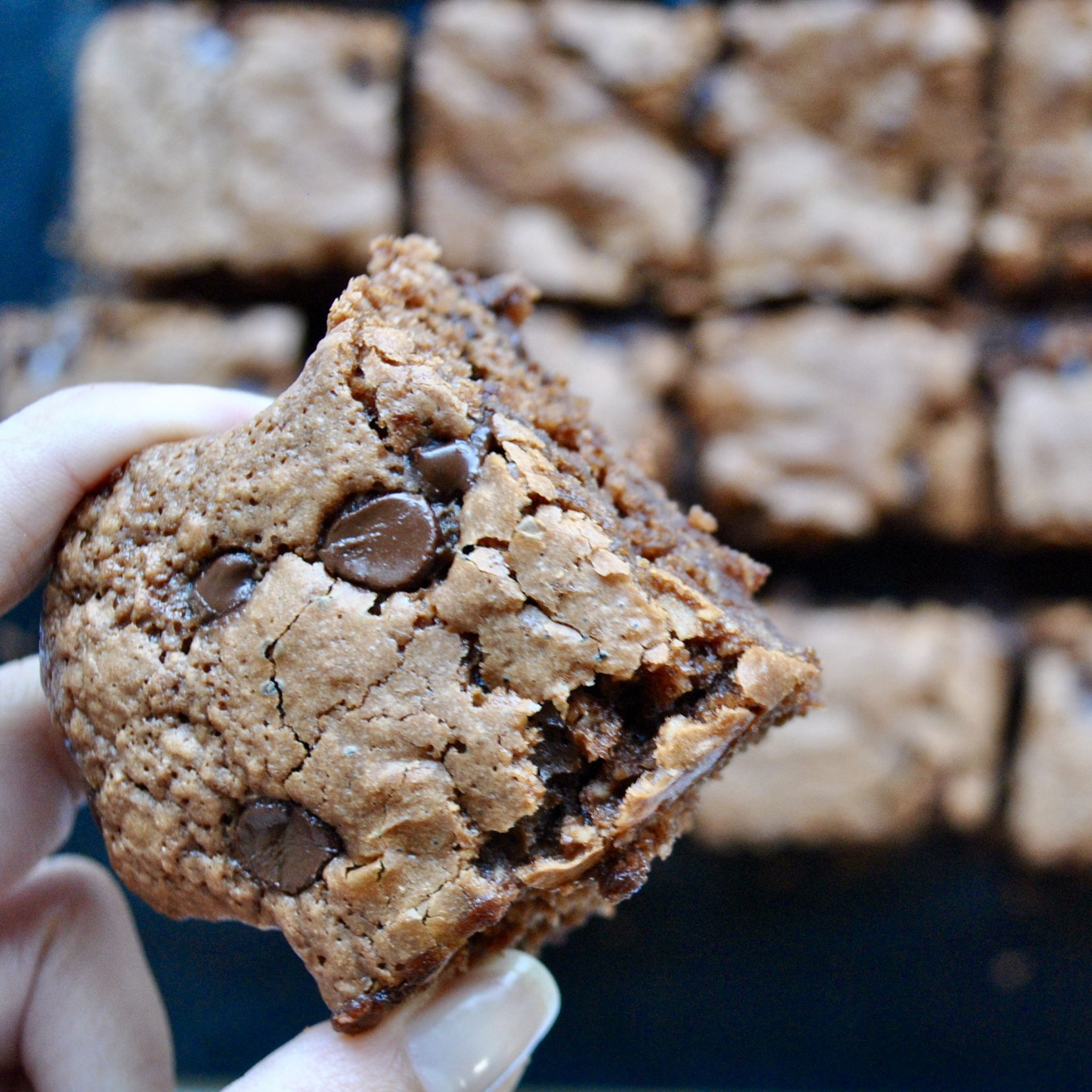Gooey Nutella Brownies (Glutenfree, Dairyfree) Eli Brecher Nutrition