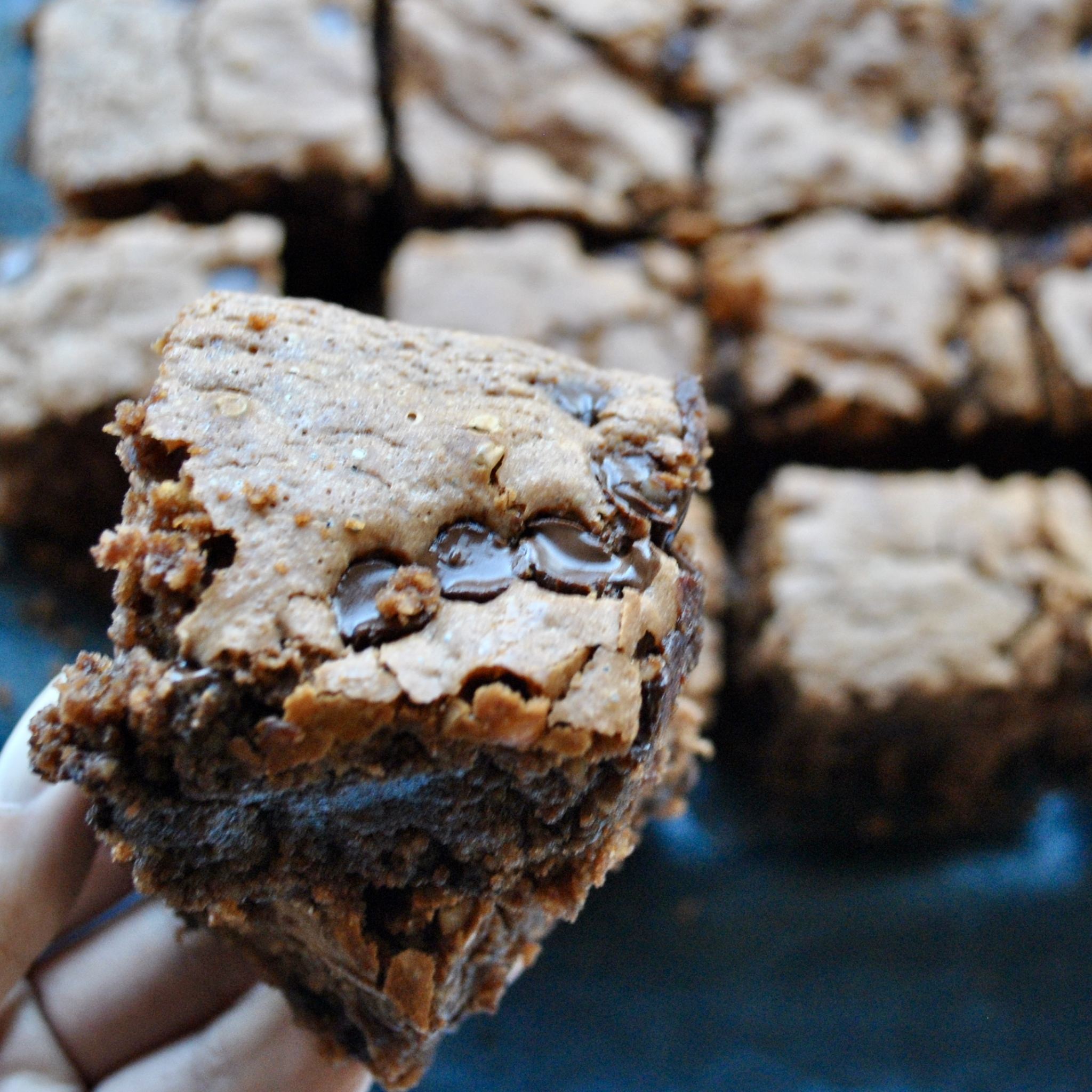 Gooey Nutella Brownies (Glutenfree, Dairyfree) Eli Brecher Nutrition