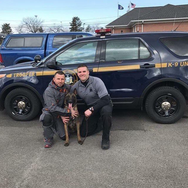 K9 Training Eli Dog Trainer