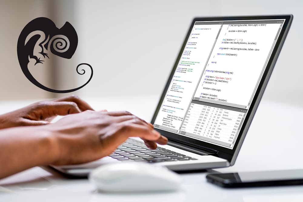 Eligeunaweb Agencia de