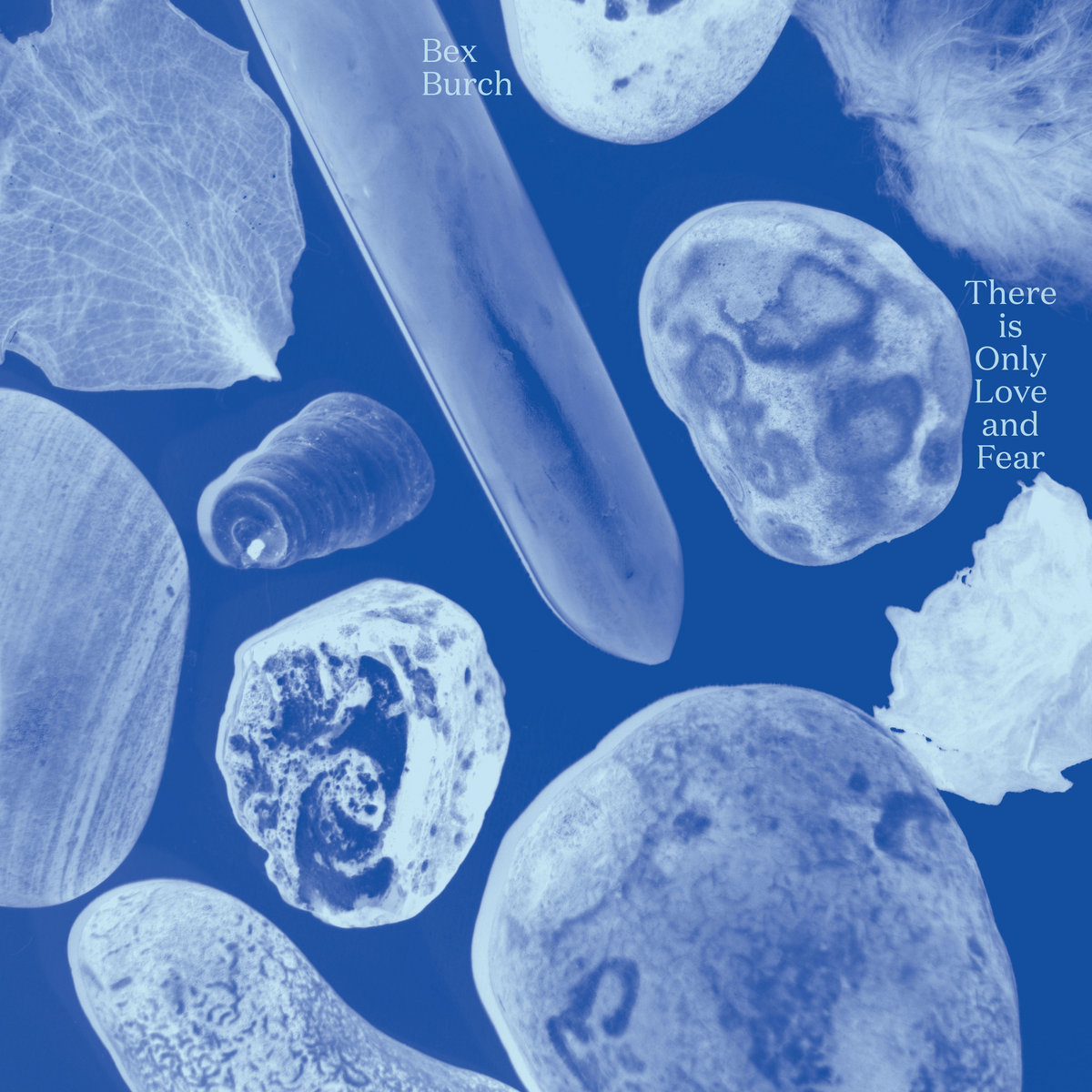 Bex Burch There is Only Love and Fear Eligo Audio Culture