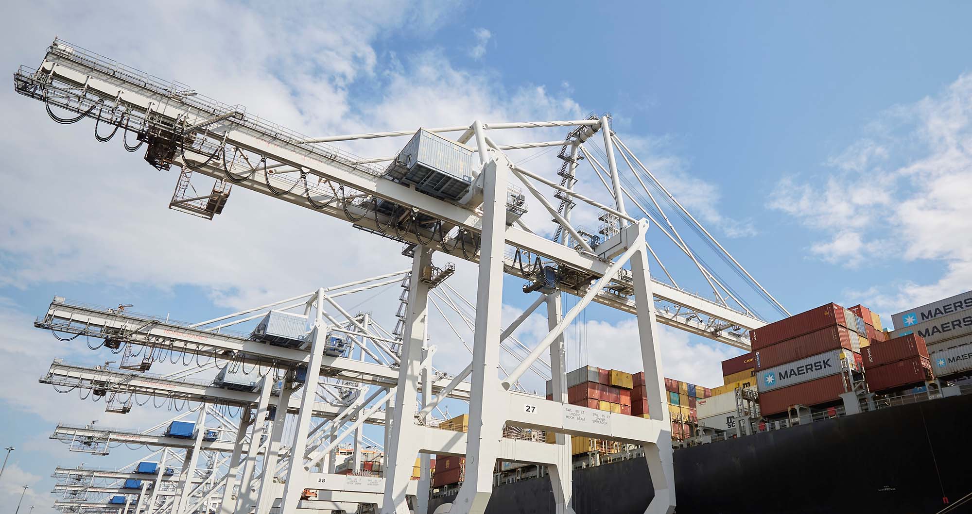 Meet Our Real Estate Market Team Elion Partners