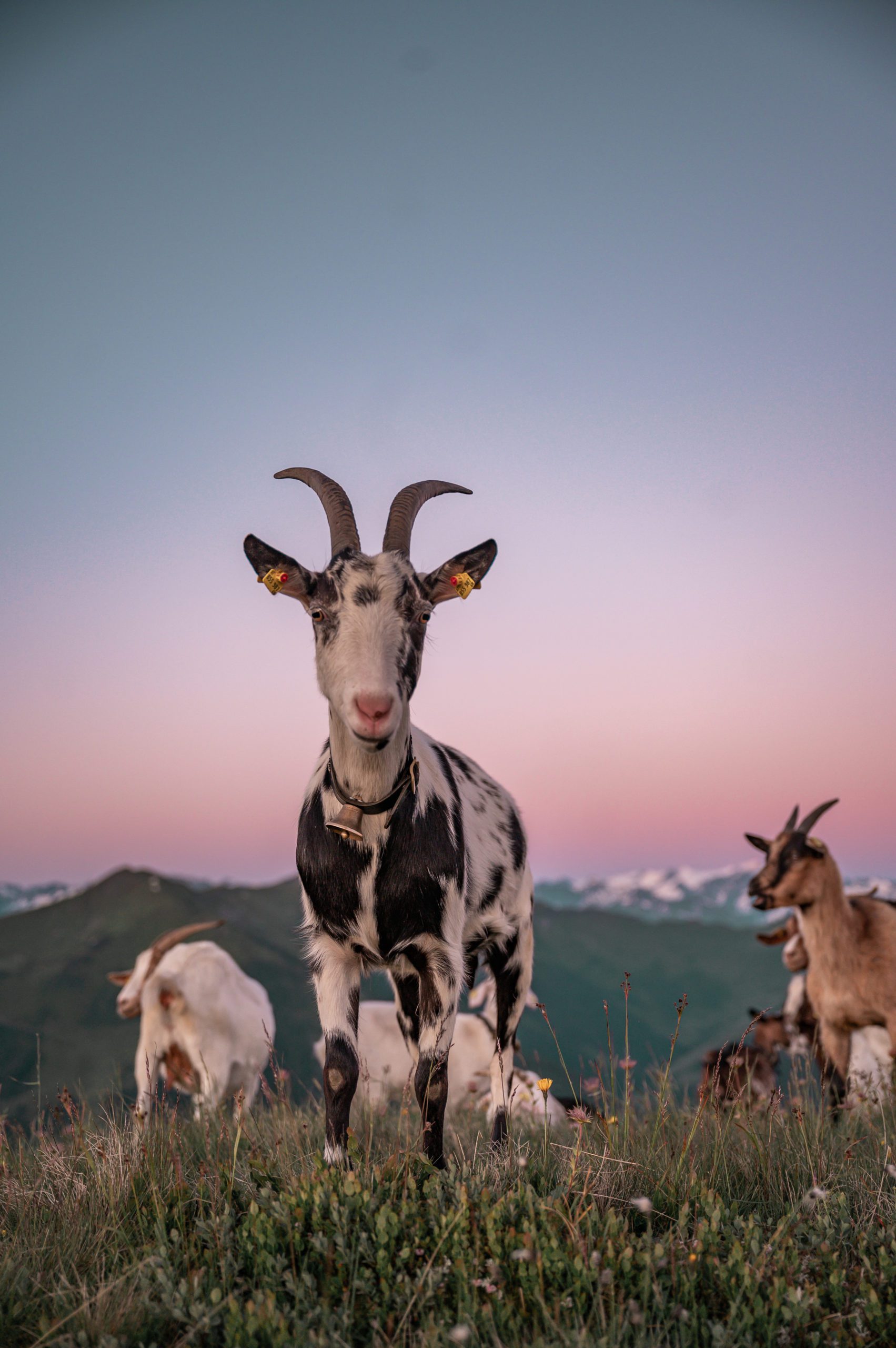 saalbach-hinterglemm sunrise