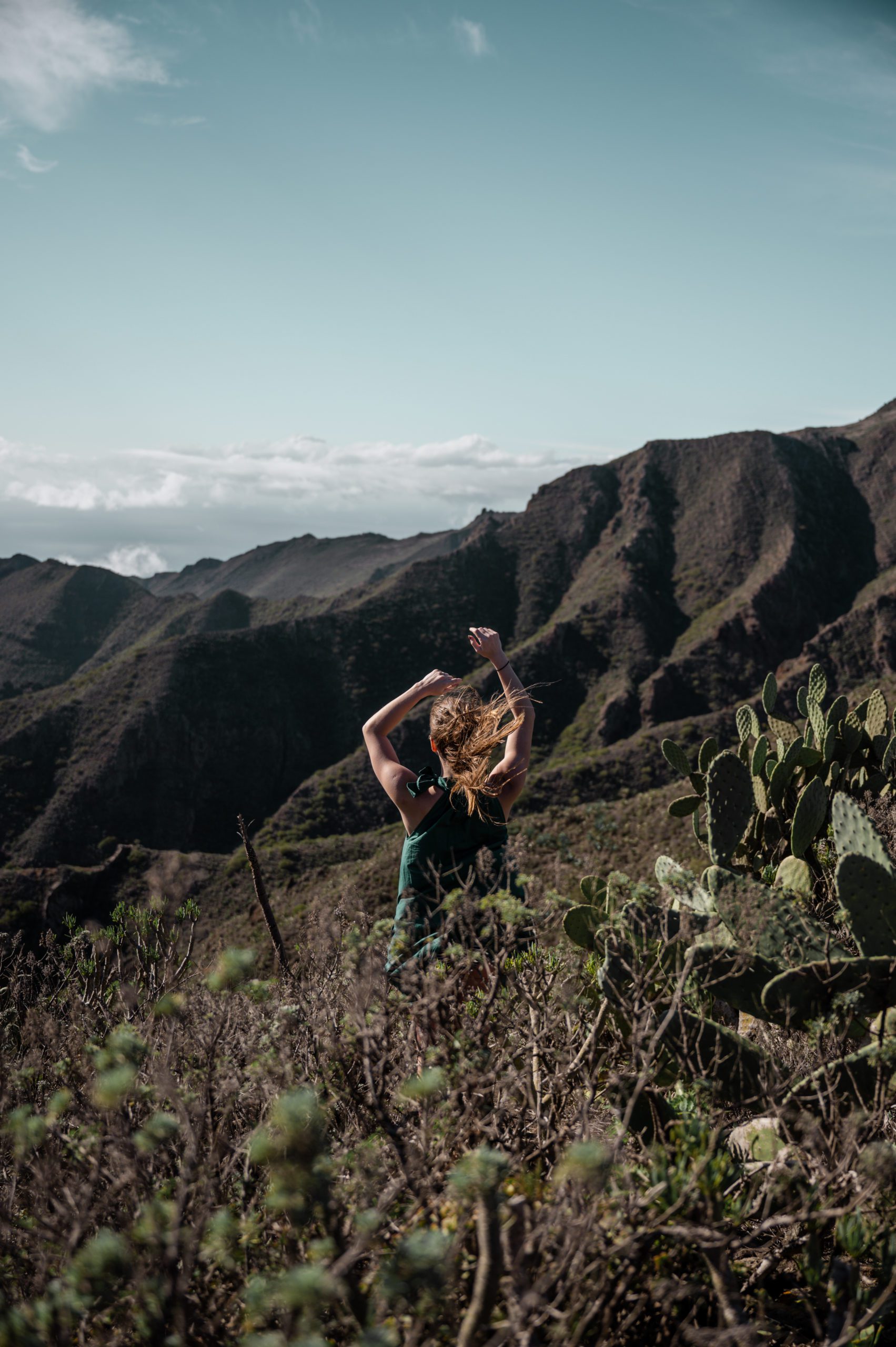 Mirador Altos de Baracán tenerife