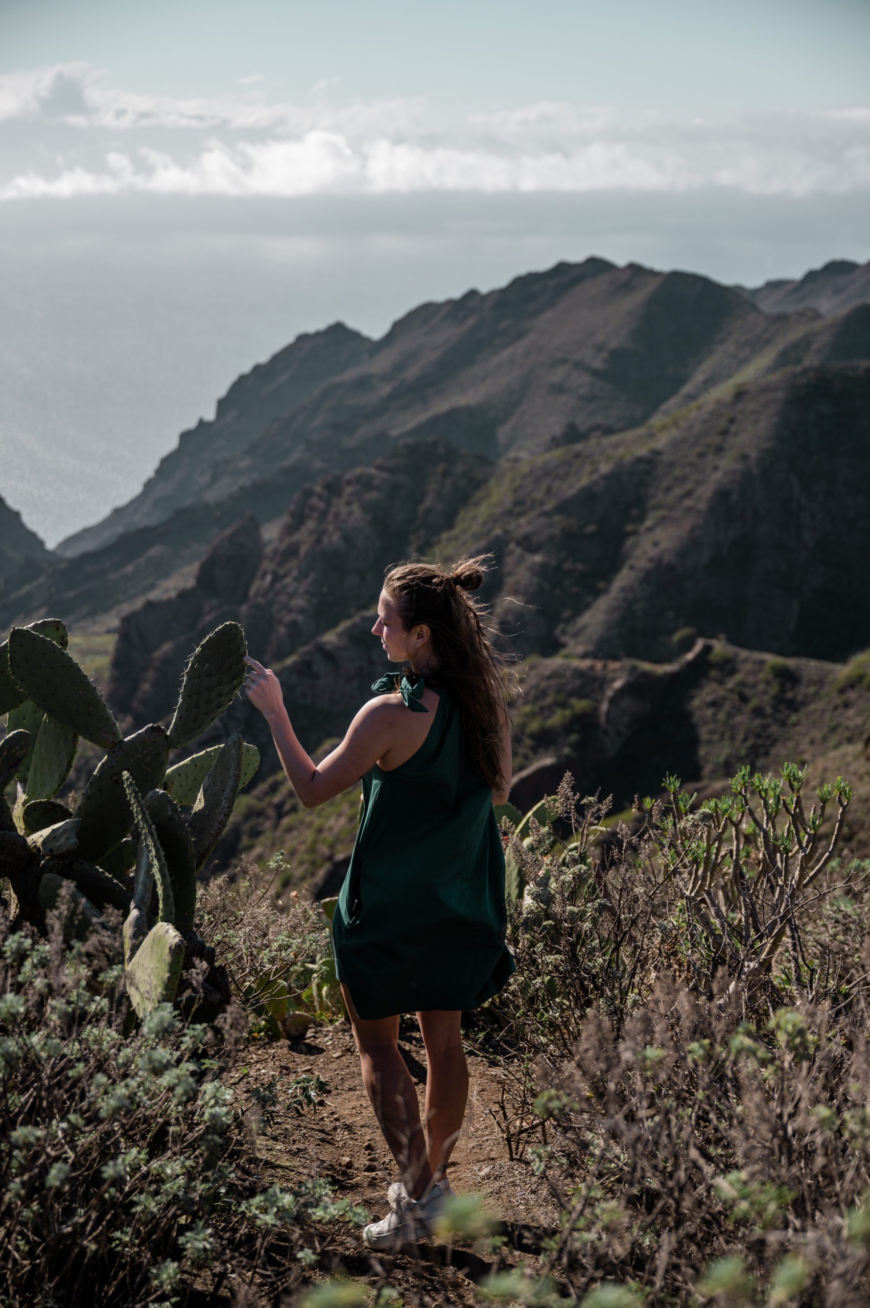 Mirador Altos de Baracán tenerife