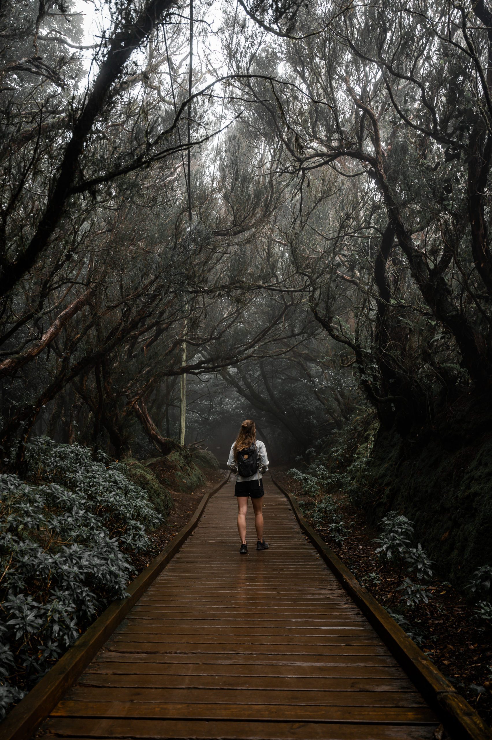 Sendero de los Sentidos tenerife