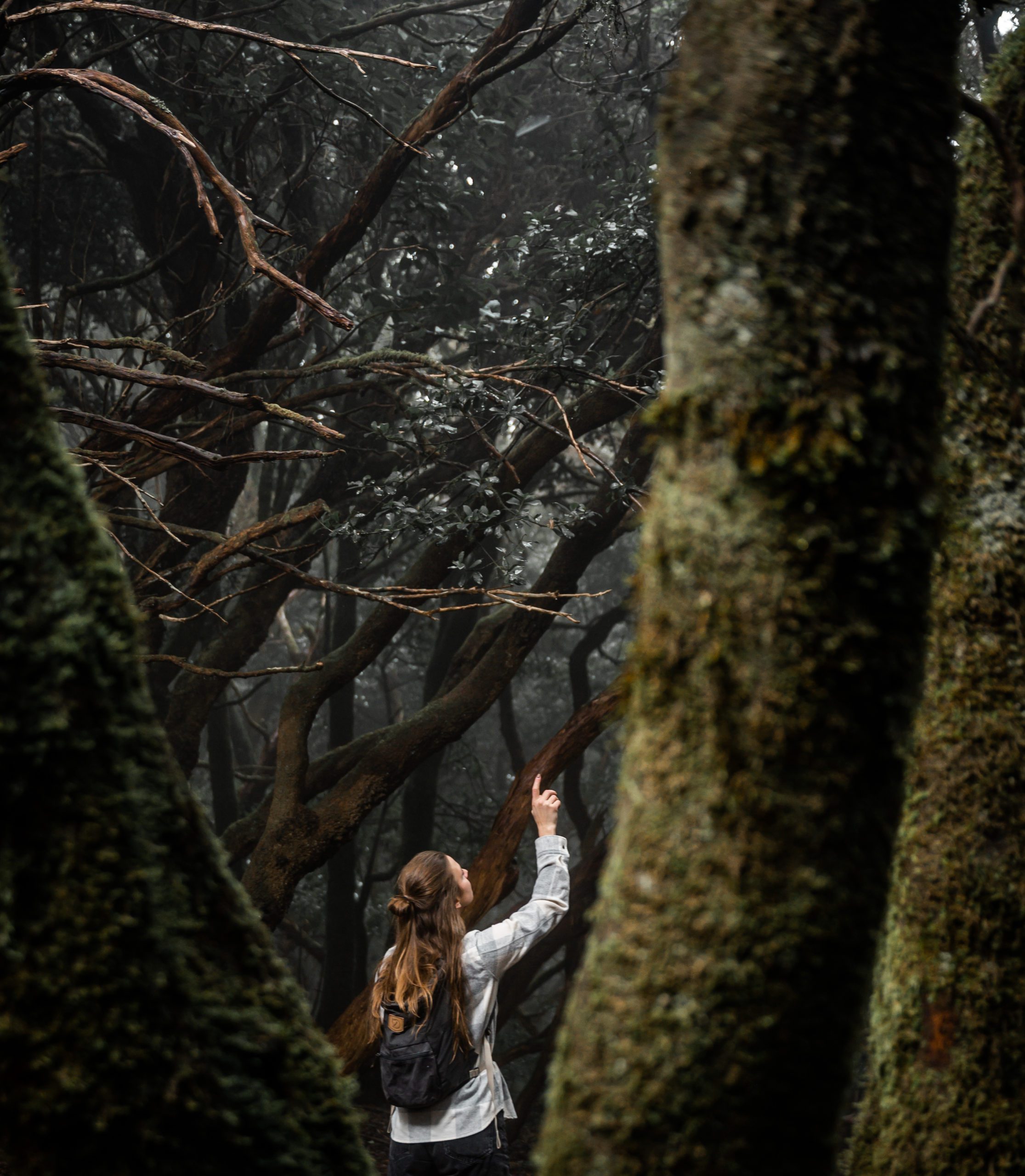 sendero de los sentidos tenerife