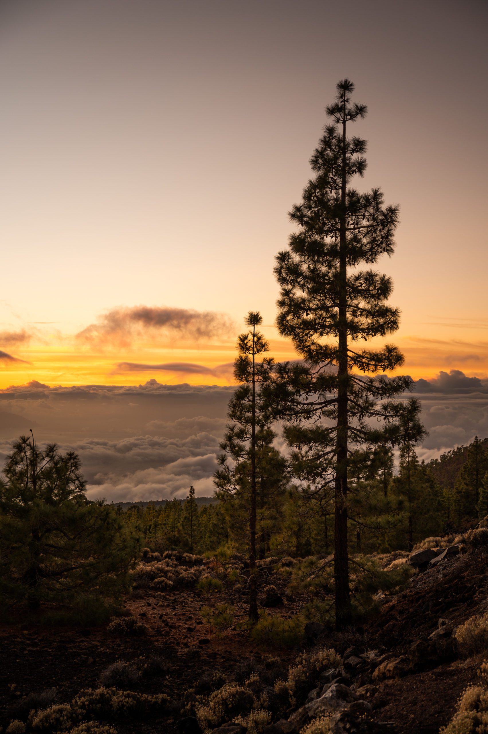 teide national park sunset