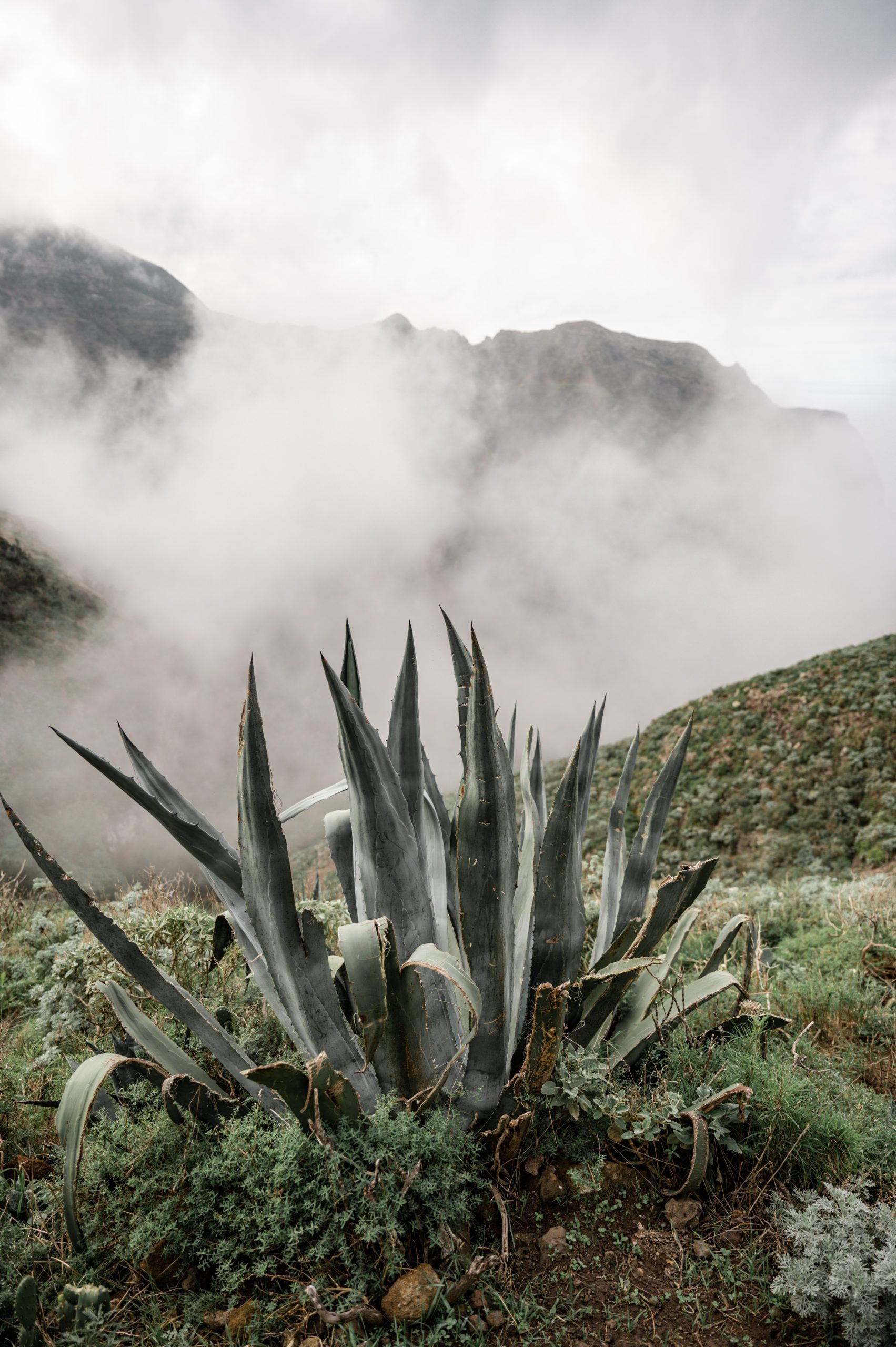 roque de taborno hike tenerife