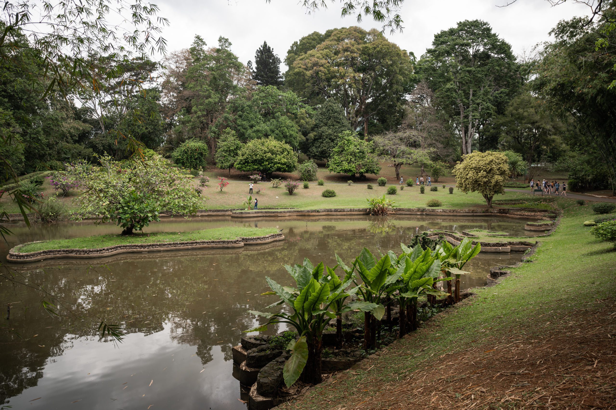 Sri Lanka Royal Botanical Gardens Kandy