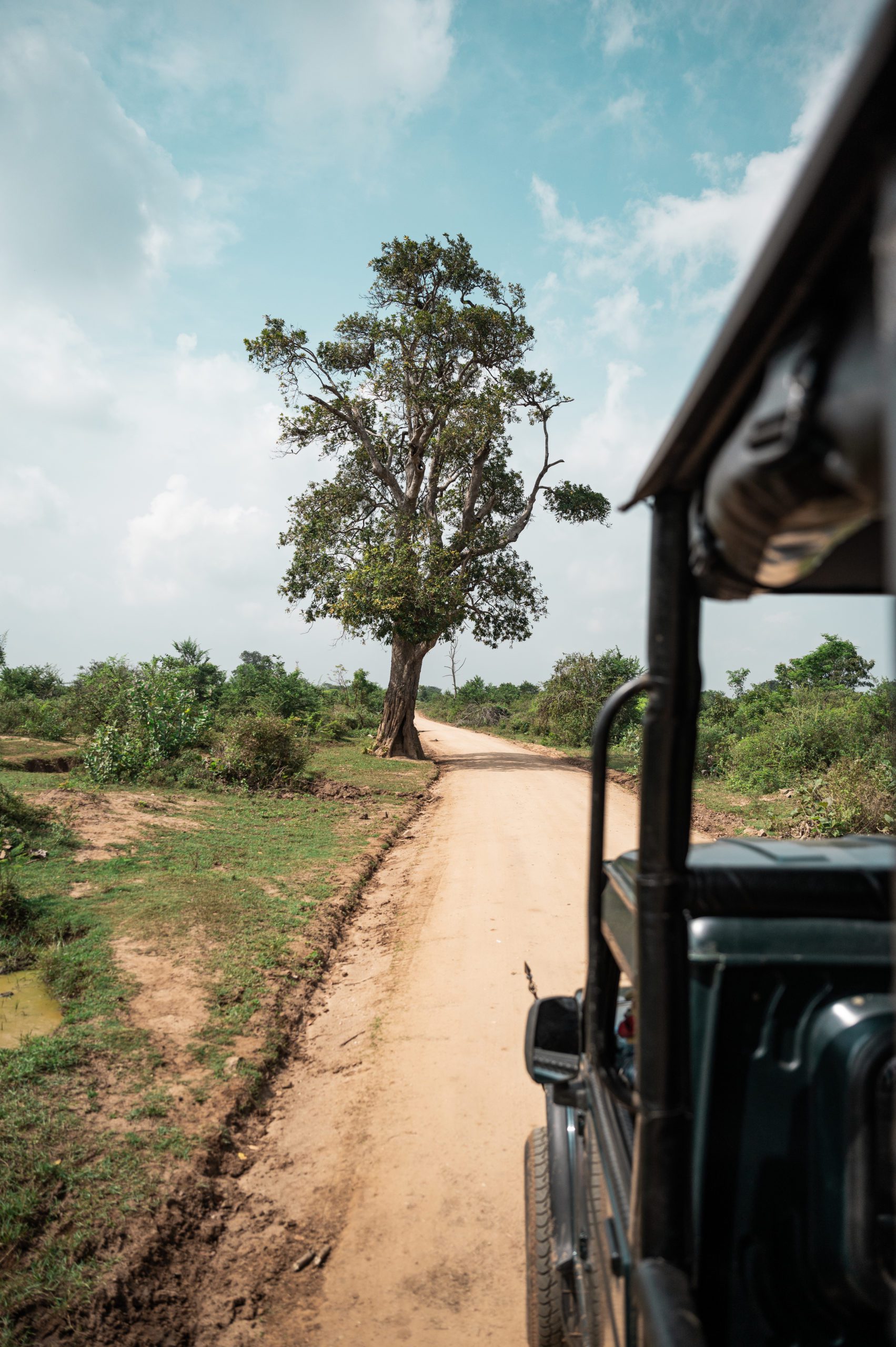 Srí Lanka Udawalawe safari