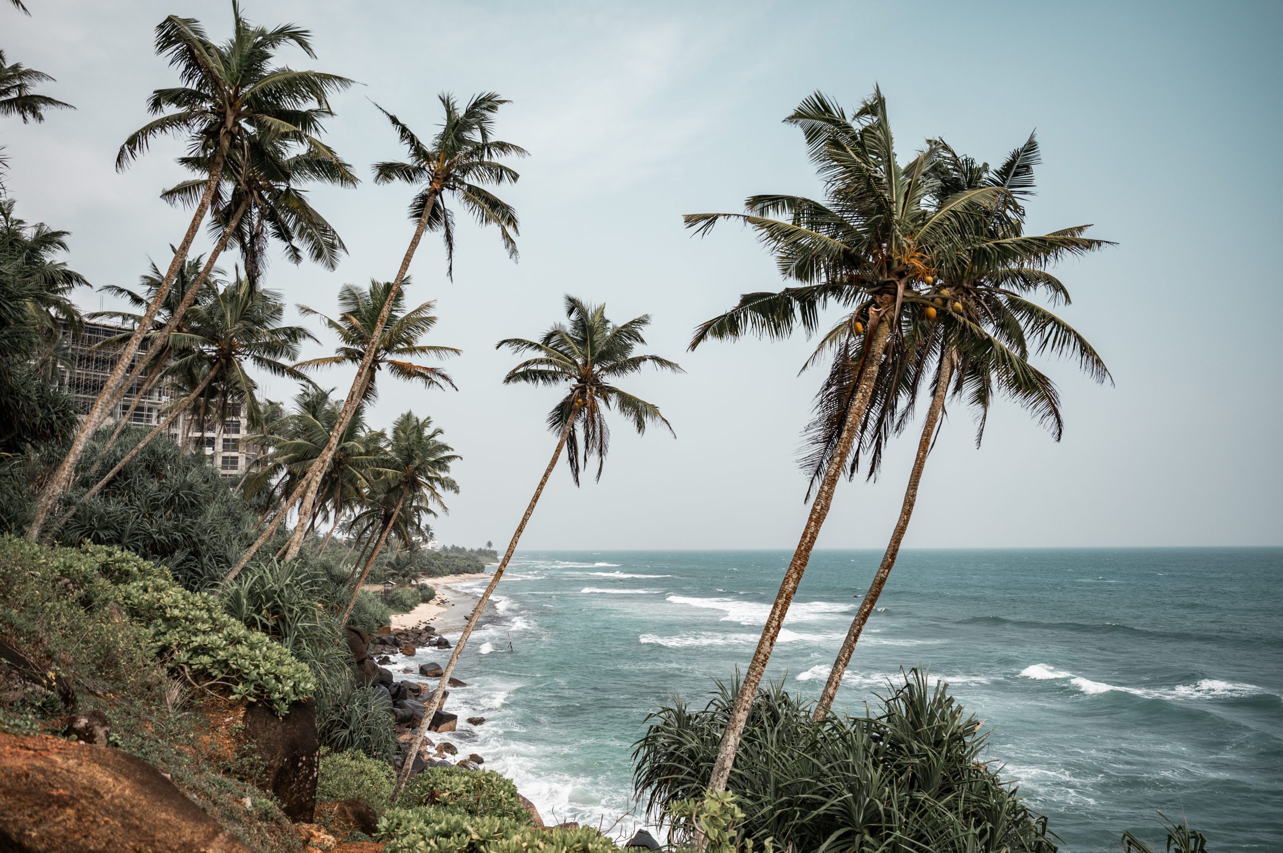 Srí Lanka Coconut Tree Hill