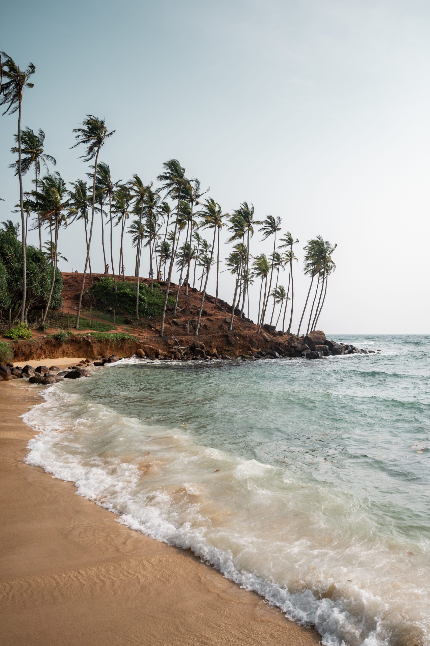 Srí Lanka Coconut Tree Hill