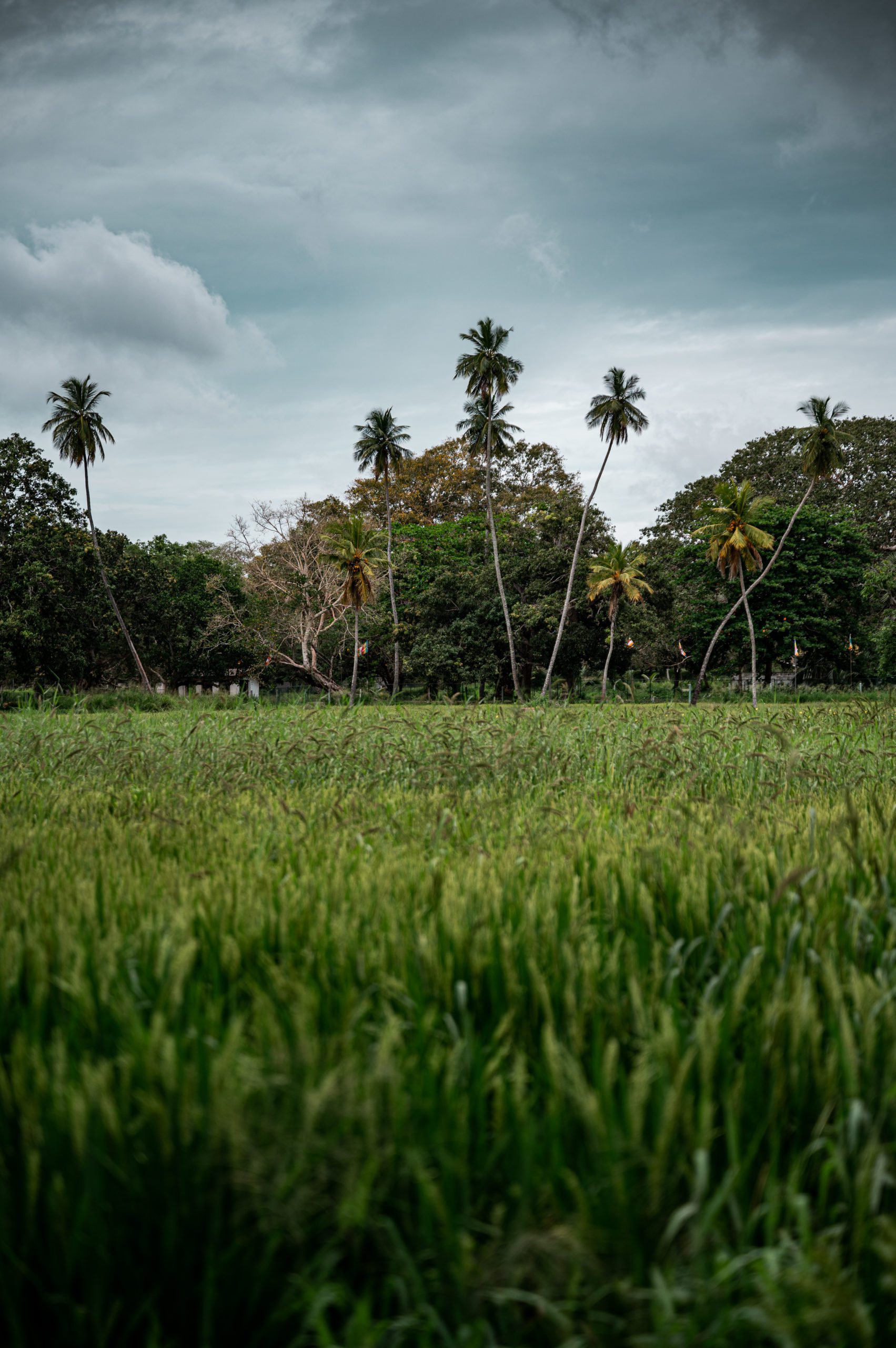 Sri Lanka Anuradhapura