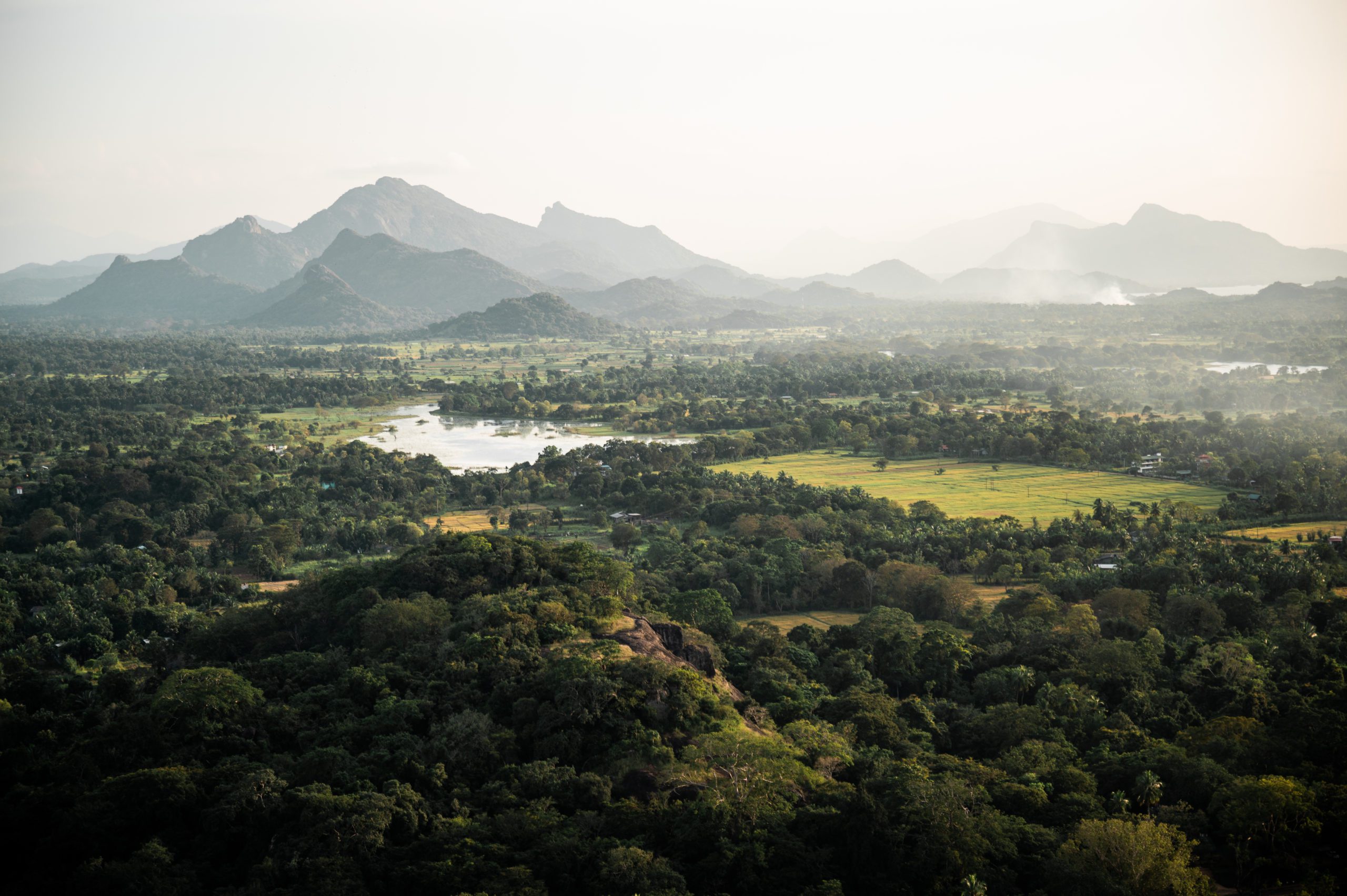 Sri Lanka Lion Rock Sigiriya