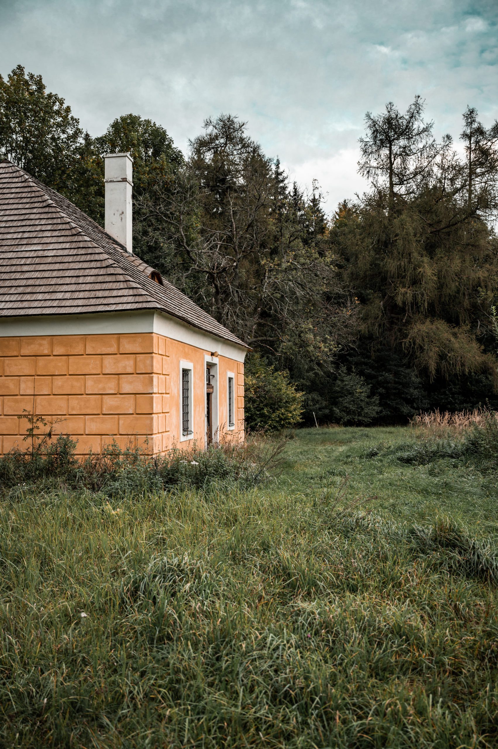 Vysocina - zamek Aleje