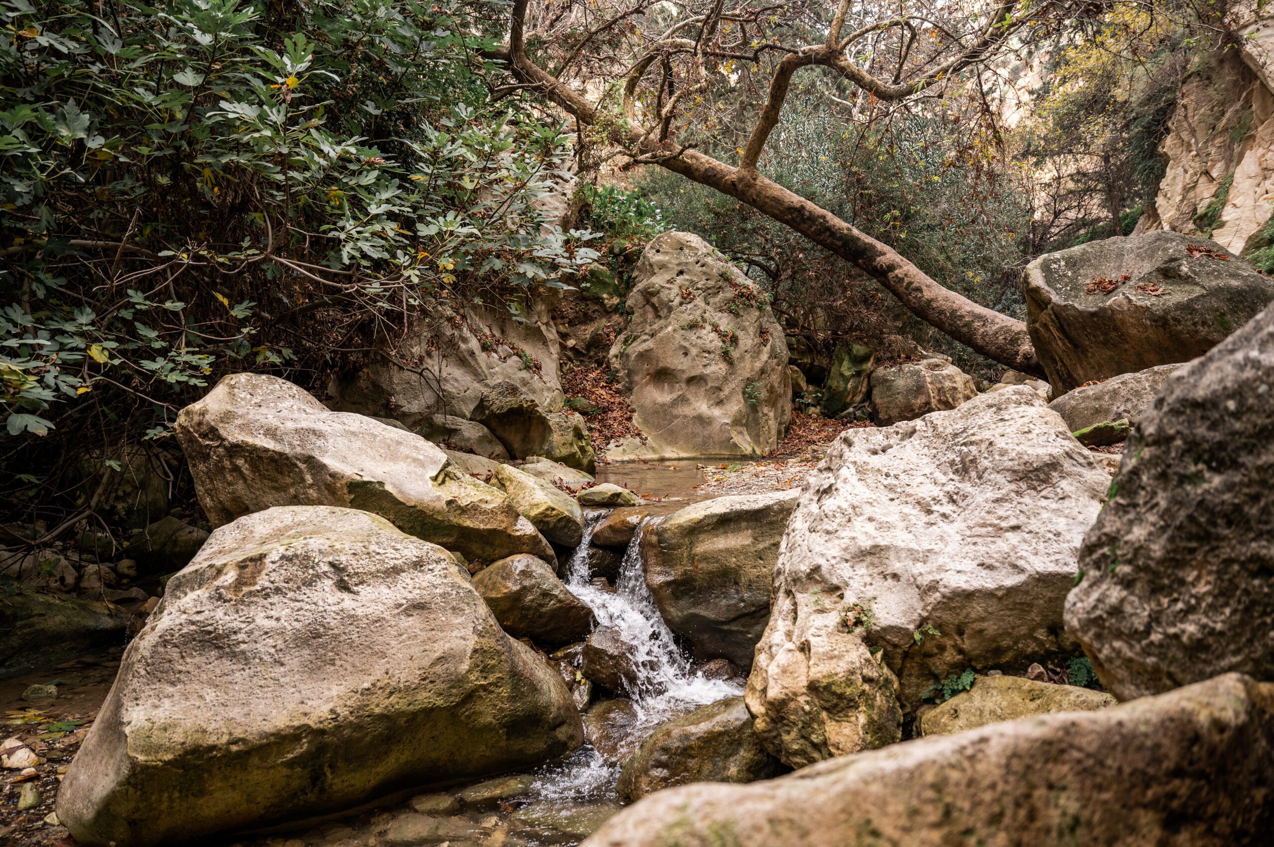 kypr avakas gorge trail