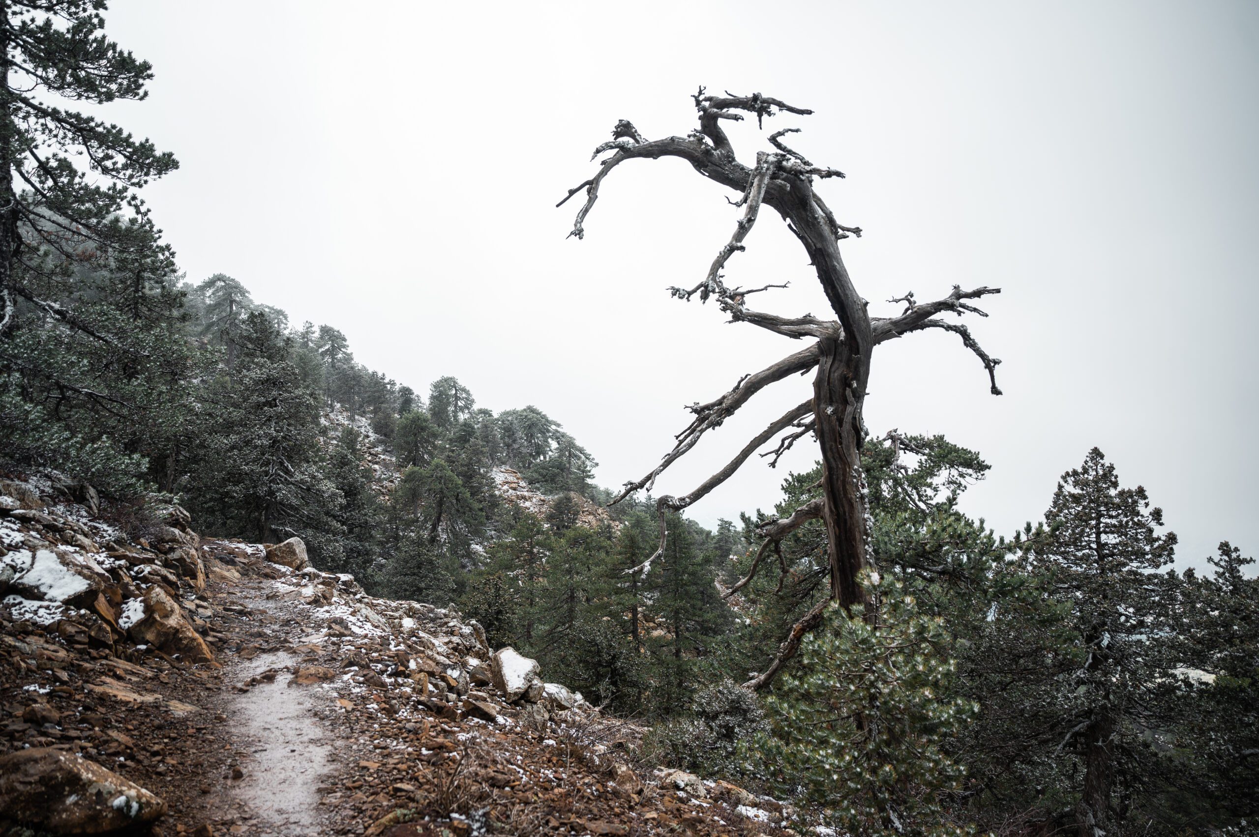 kypr mount olympus atalante trail