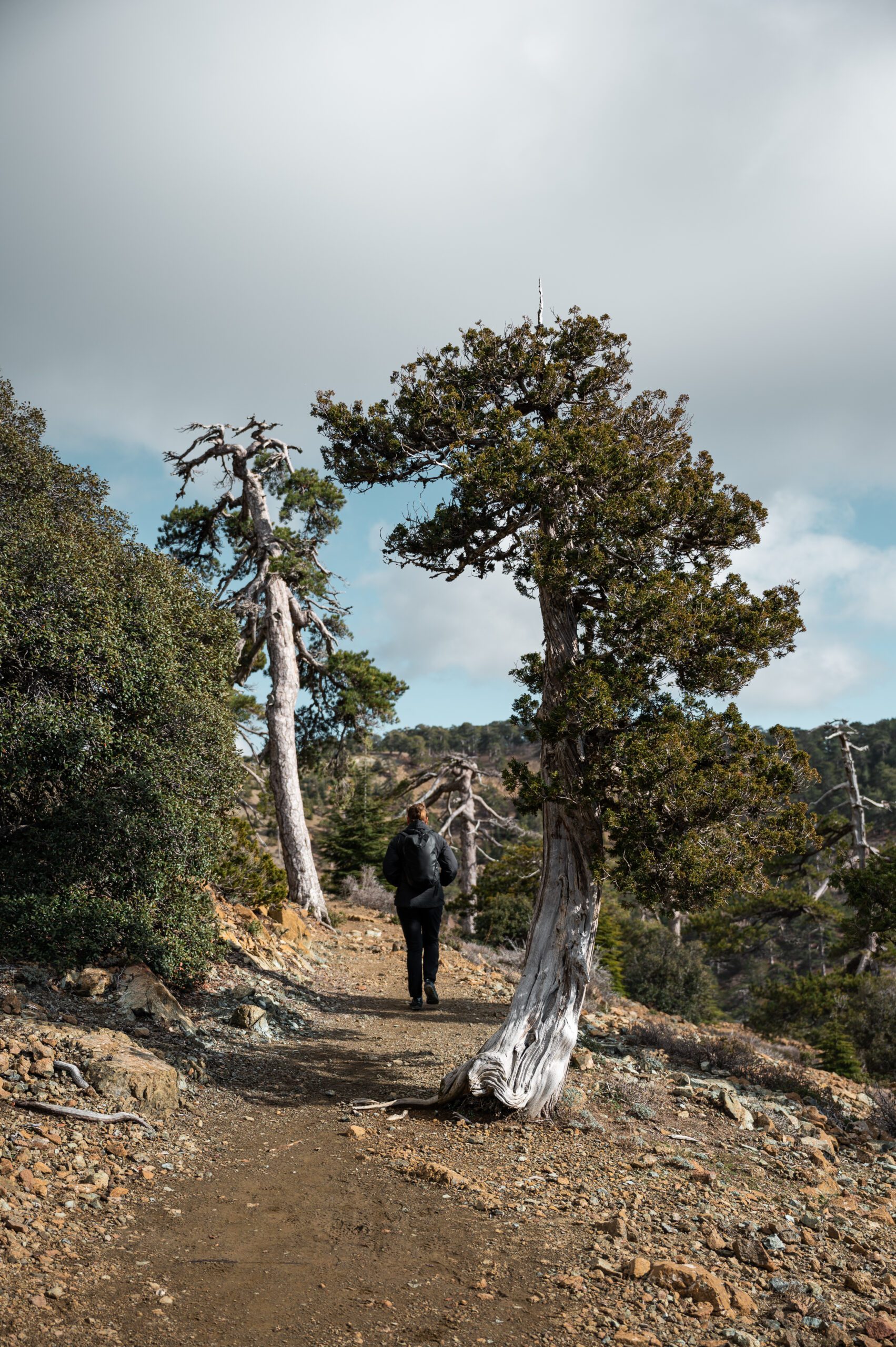 kypr mount olympus atalante trail