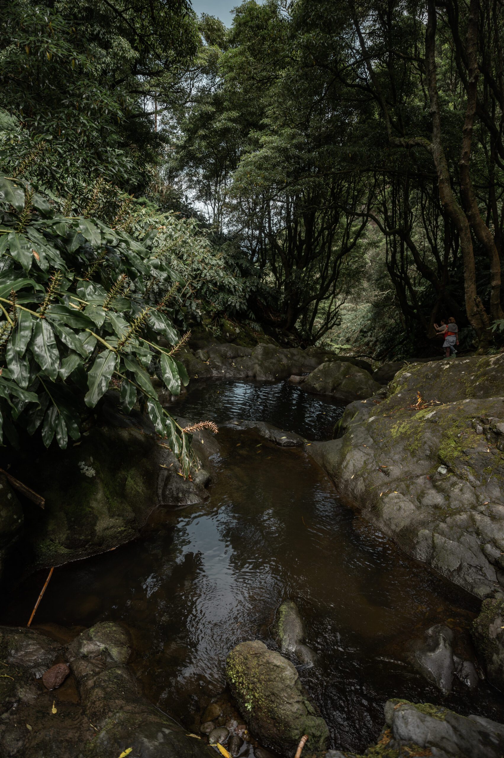 azory - sao miguel - poco azul