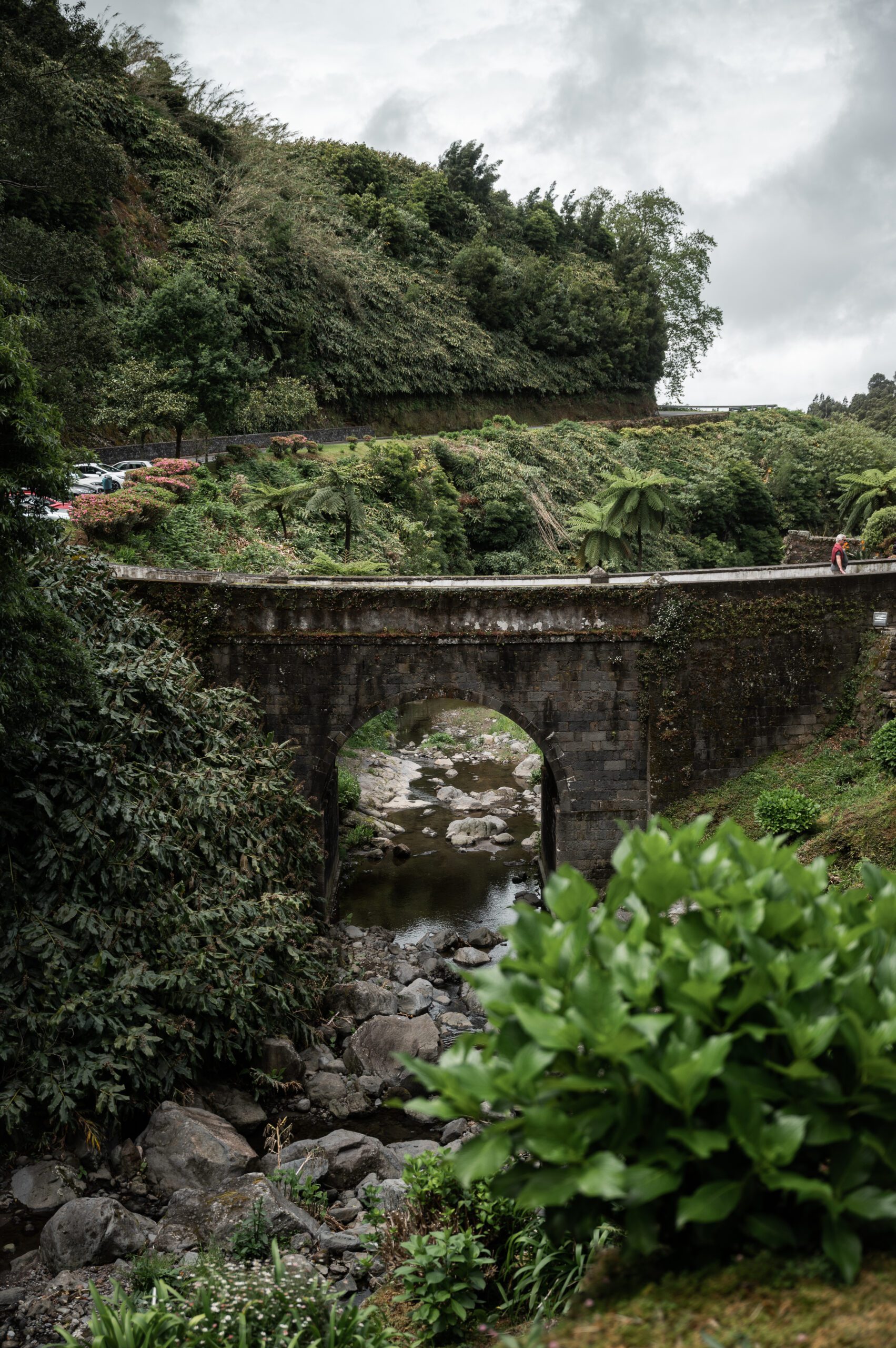 azory - sao miguel - Parque Natural da Ribeira dos Caldeirões