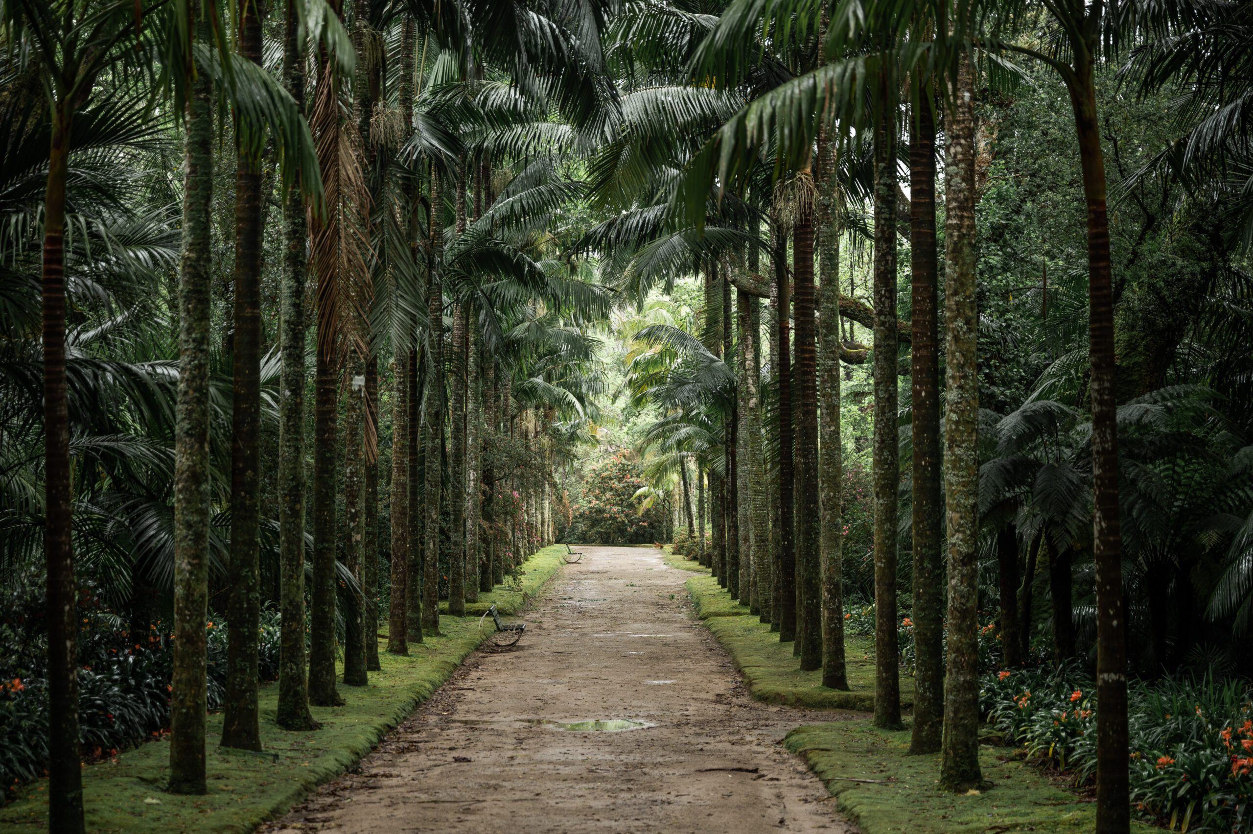 azory - sao miguel - Parque Terra Nostra