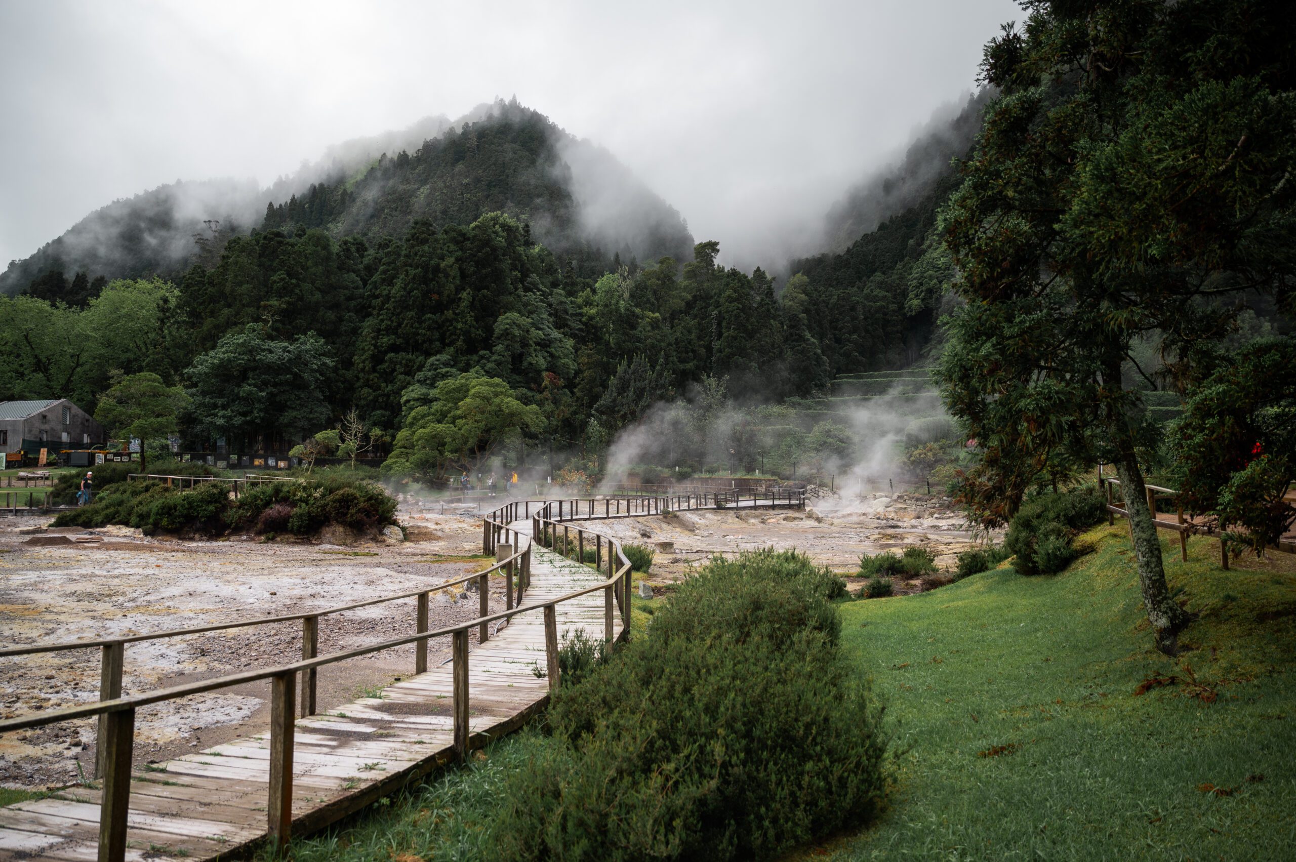 azory - sao miguel - Caldeiras das Furnas