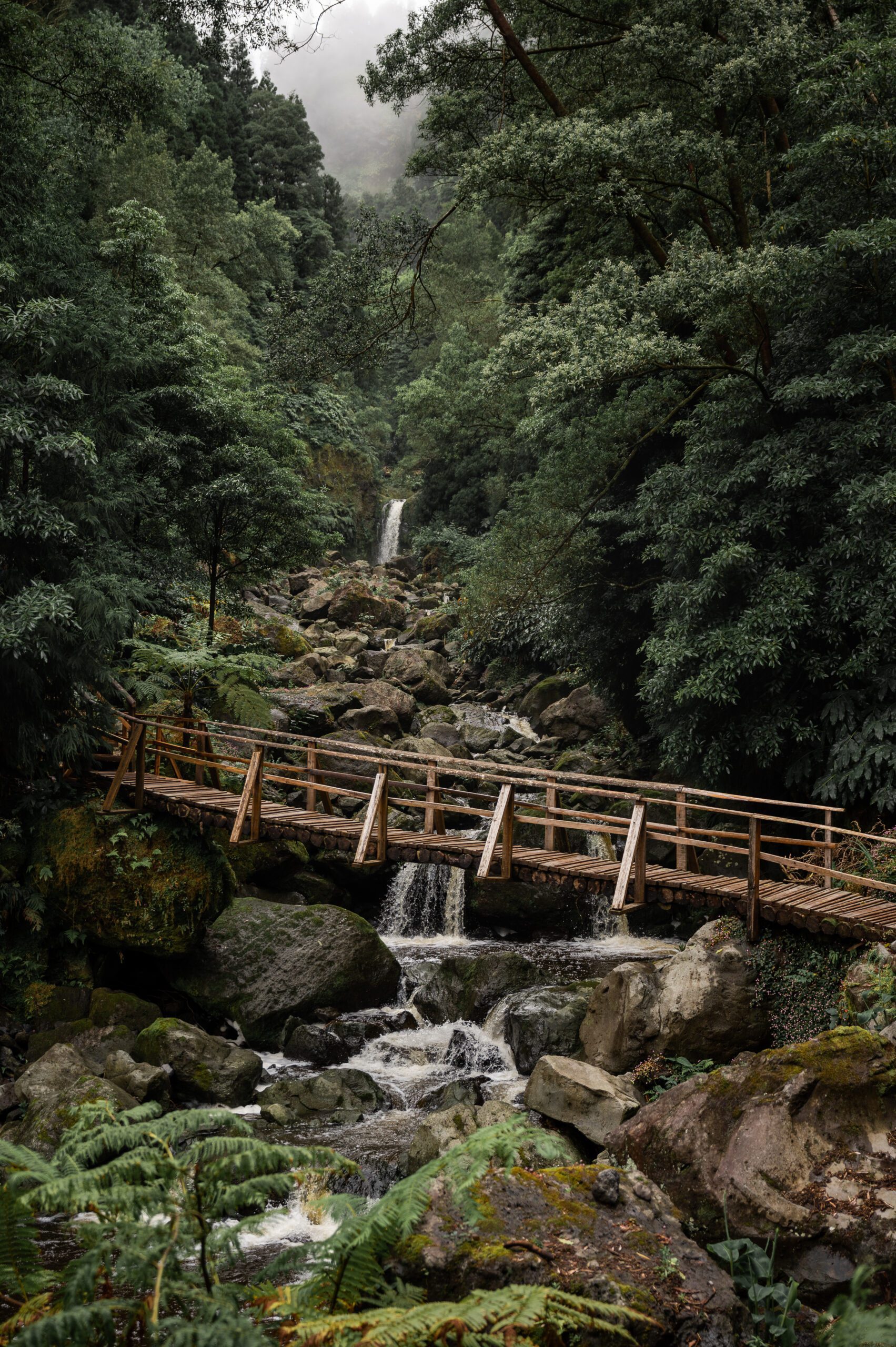 azory - sao miguel - Caldeiras das Furnas